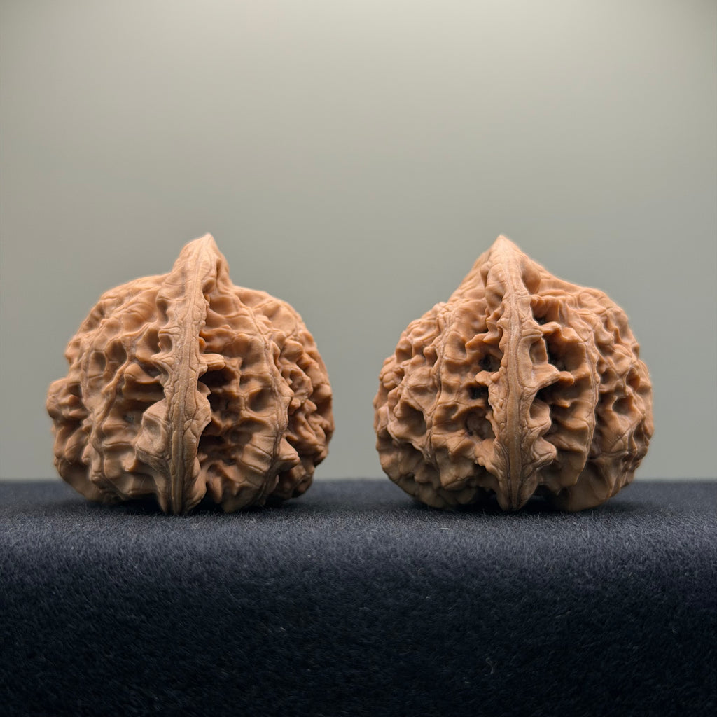 Official Hat Wenwan Walnut · 47mm · Natural · Entry Ritual