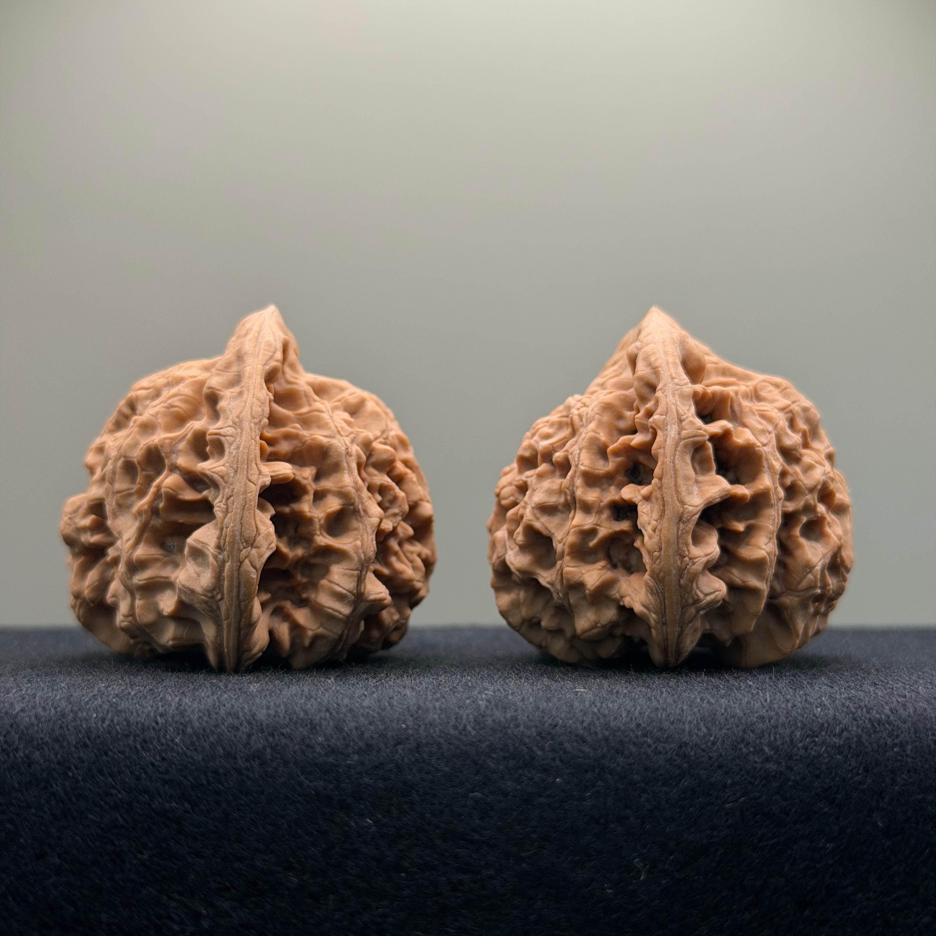 Official Hat Wenwan Walnut · 47mm · Natural · Entry Ritual