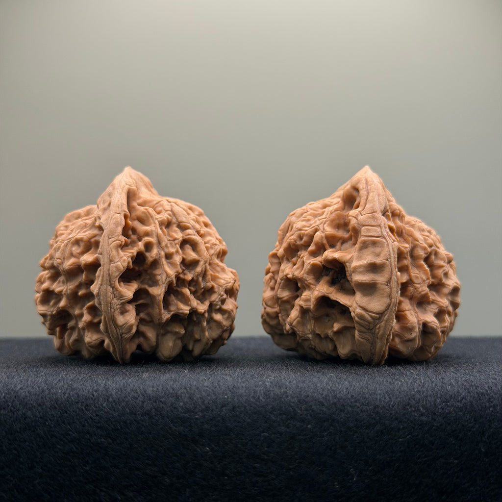 Official Hat Wenwan Walnut · 47mm · Natural · Entry Ritual