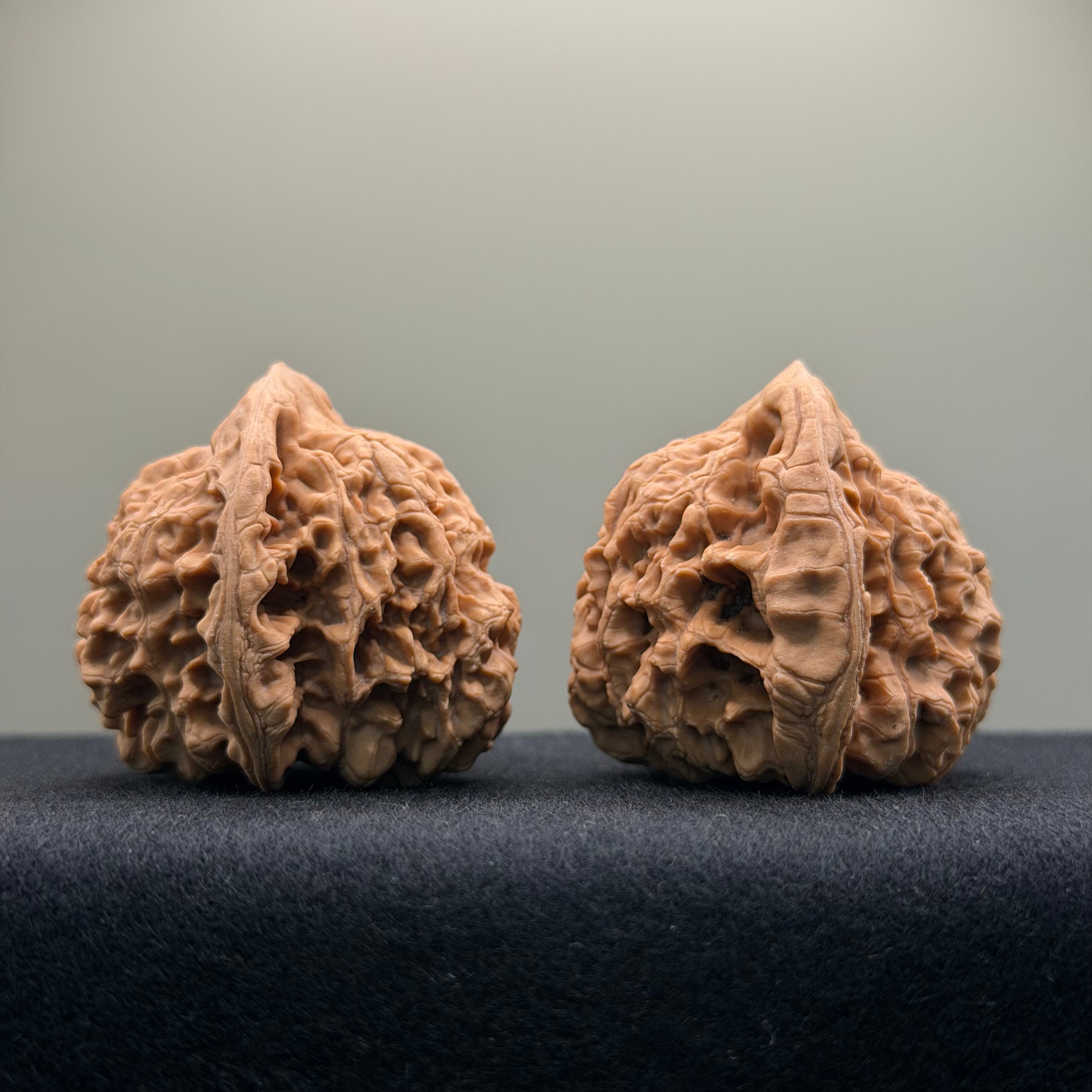 Official Hat Wenwan Walnut · 47mm · Natural · Entry Ritual