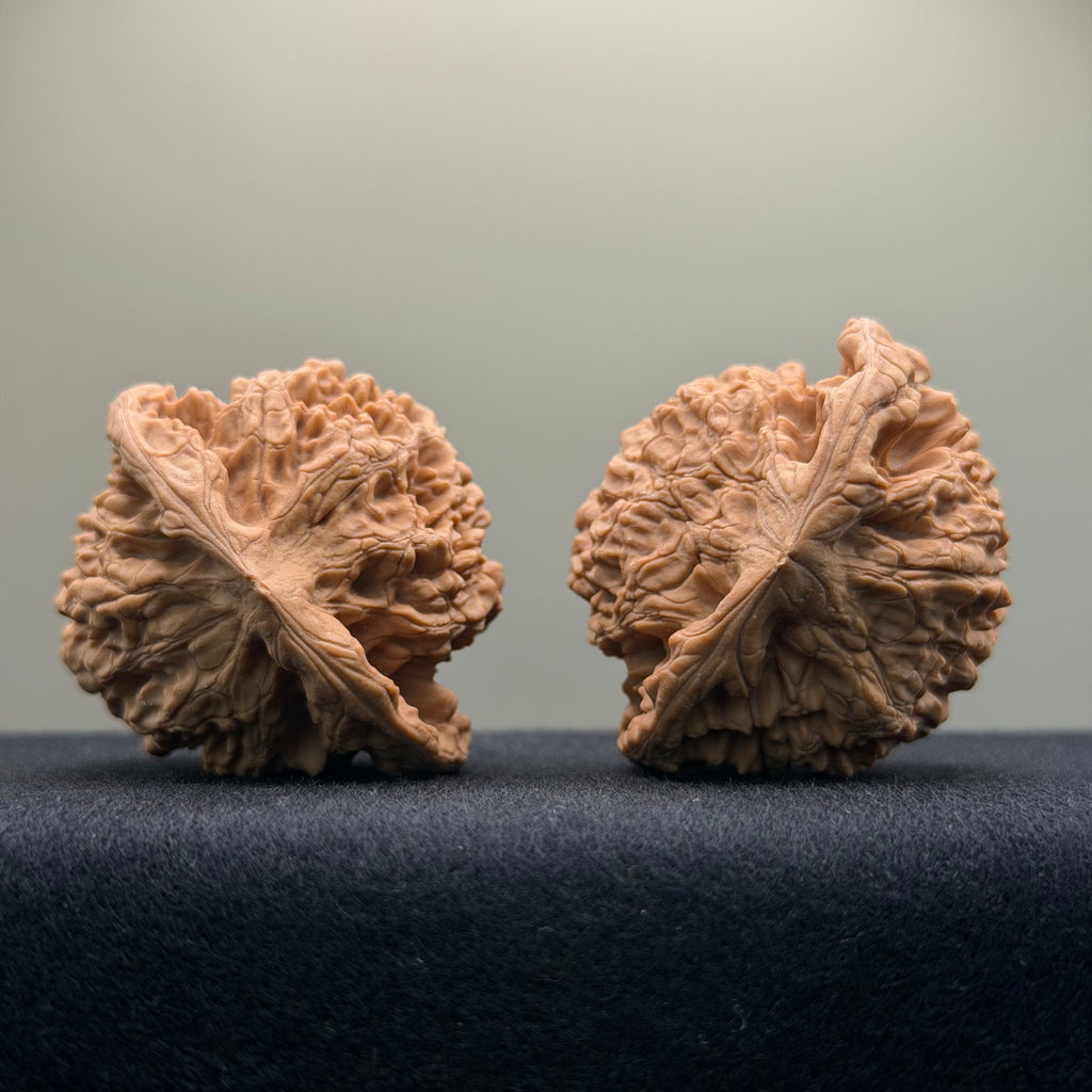 Official Hat Wenwan Walnut · 47mm · Natural · Entry Ritual