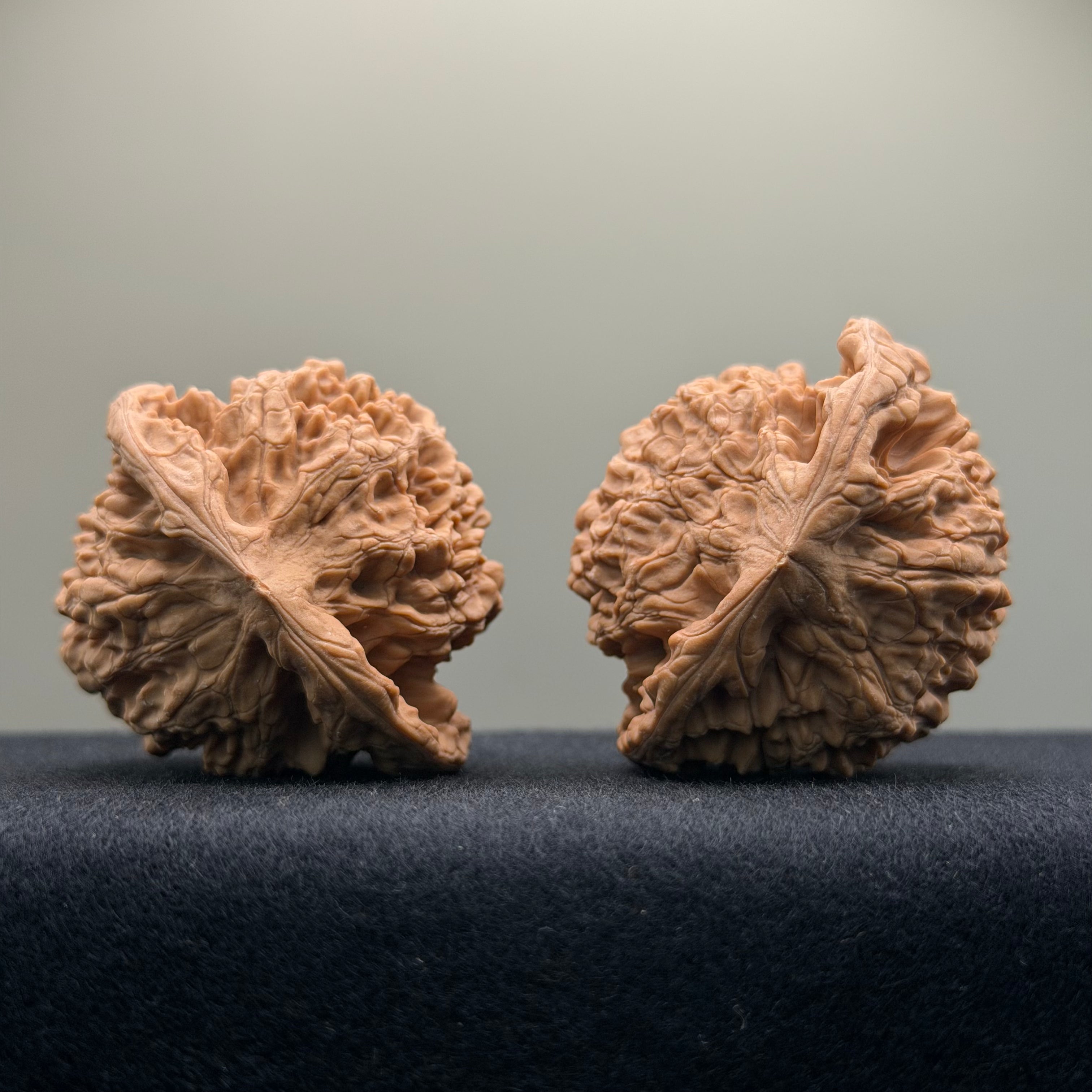 Official Hat Wenwan Walnut · 47mm · Natural · Entry Ritual