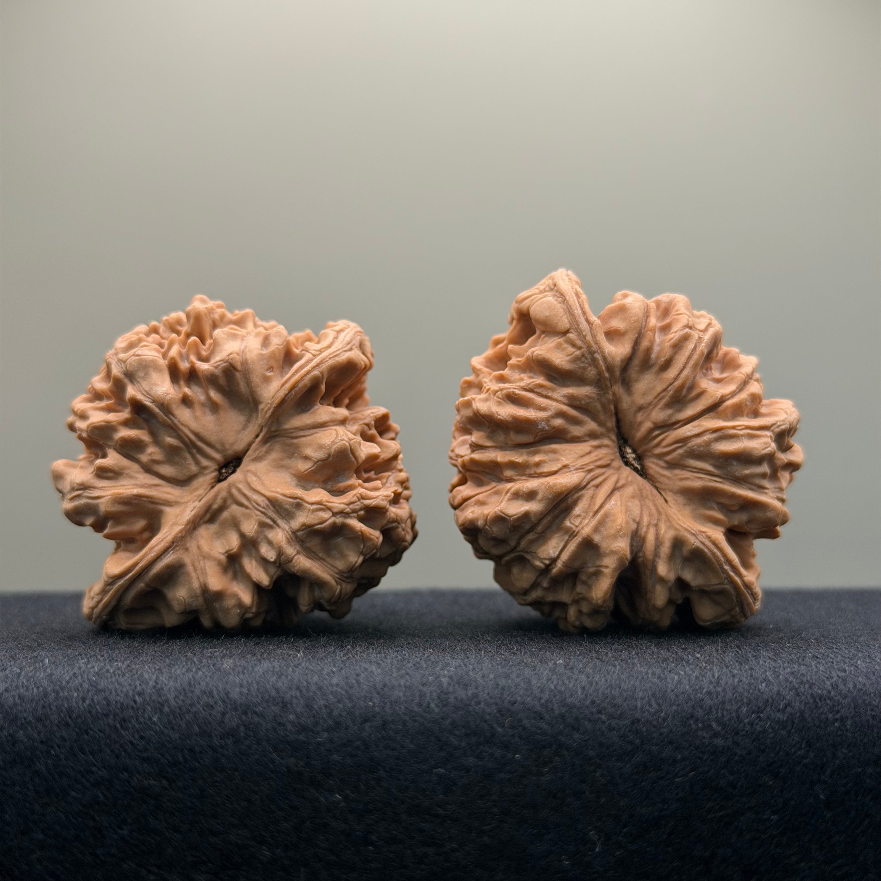 Official Hat Wenwan Walnut · 47mm · Natural · Entry Ritual