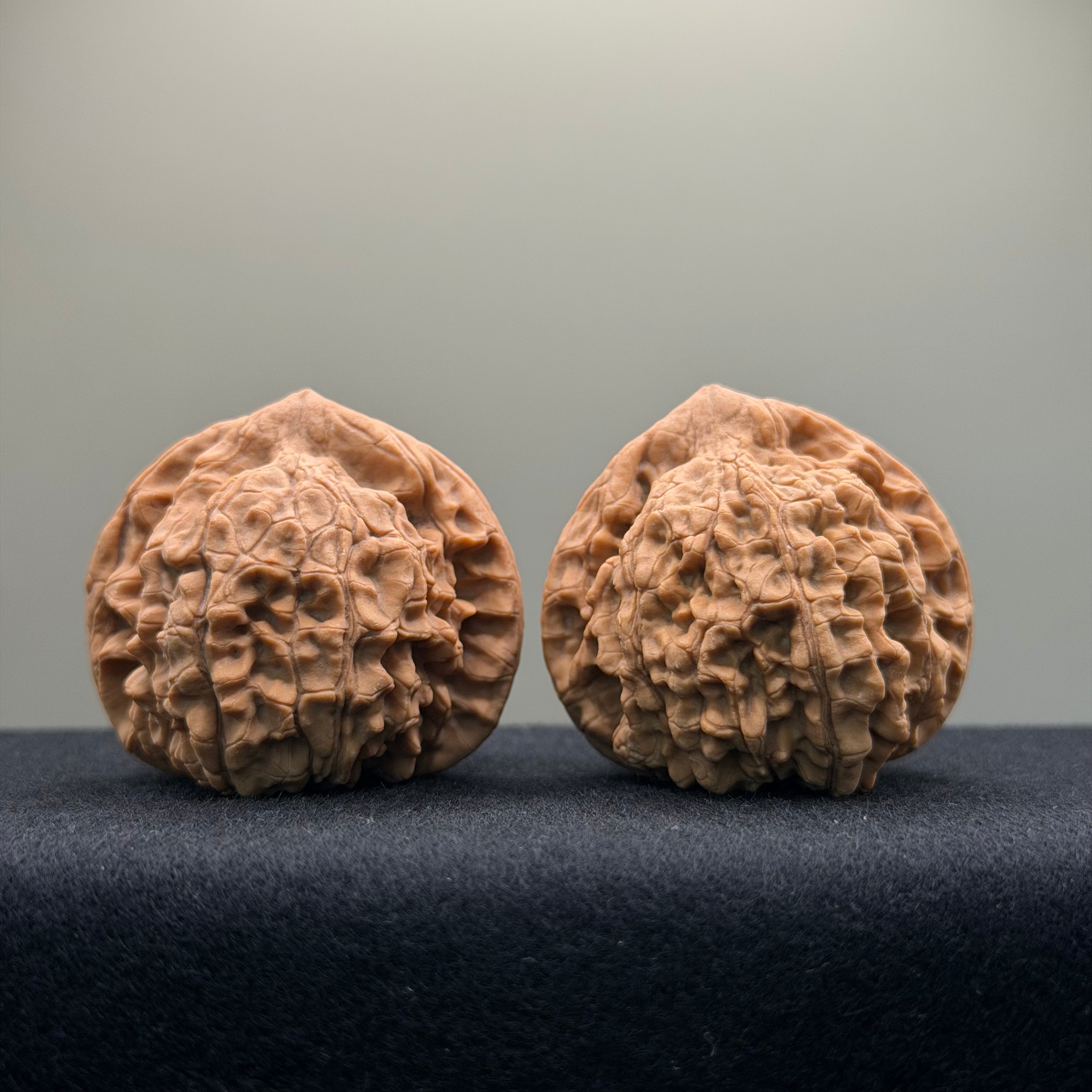 Official Hat Wenwan Walnut · 44mm · Natural · Entry Ritual