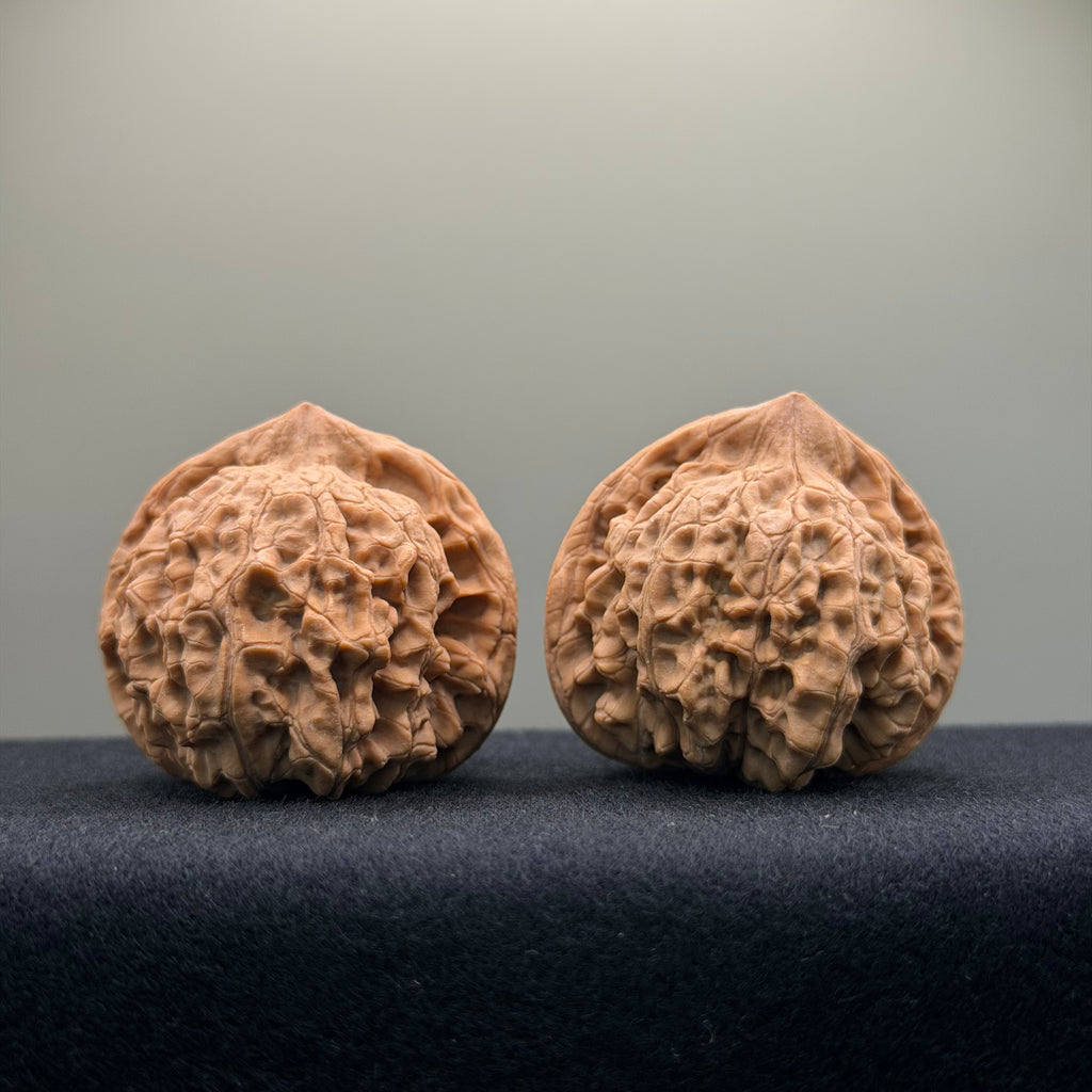 Official Hat Wenwan Walnut · 44mm · Natural · Entry Ritual
