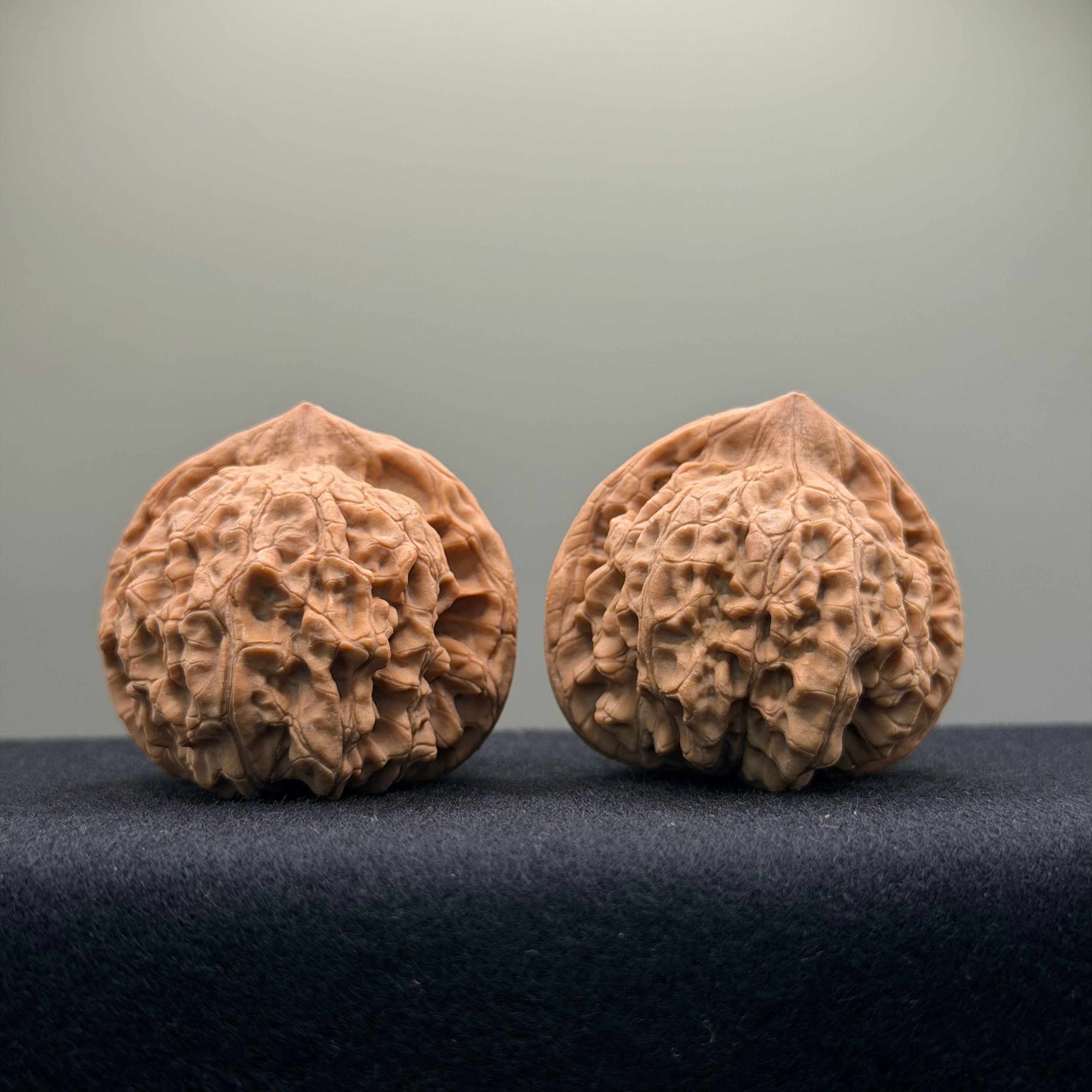 Official Hat Wenwan Walnut · 44mm · Natural · Entry Ritual