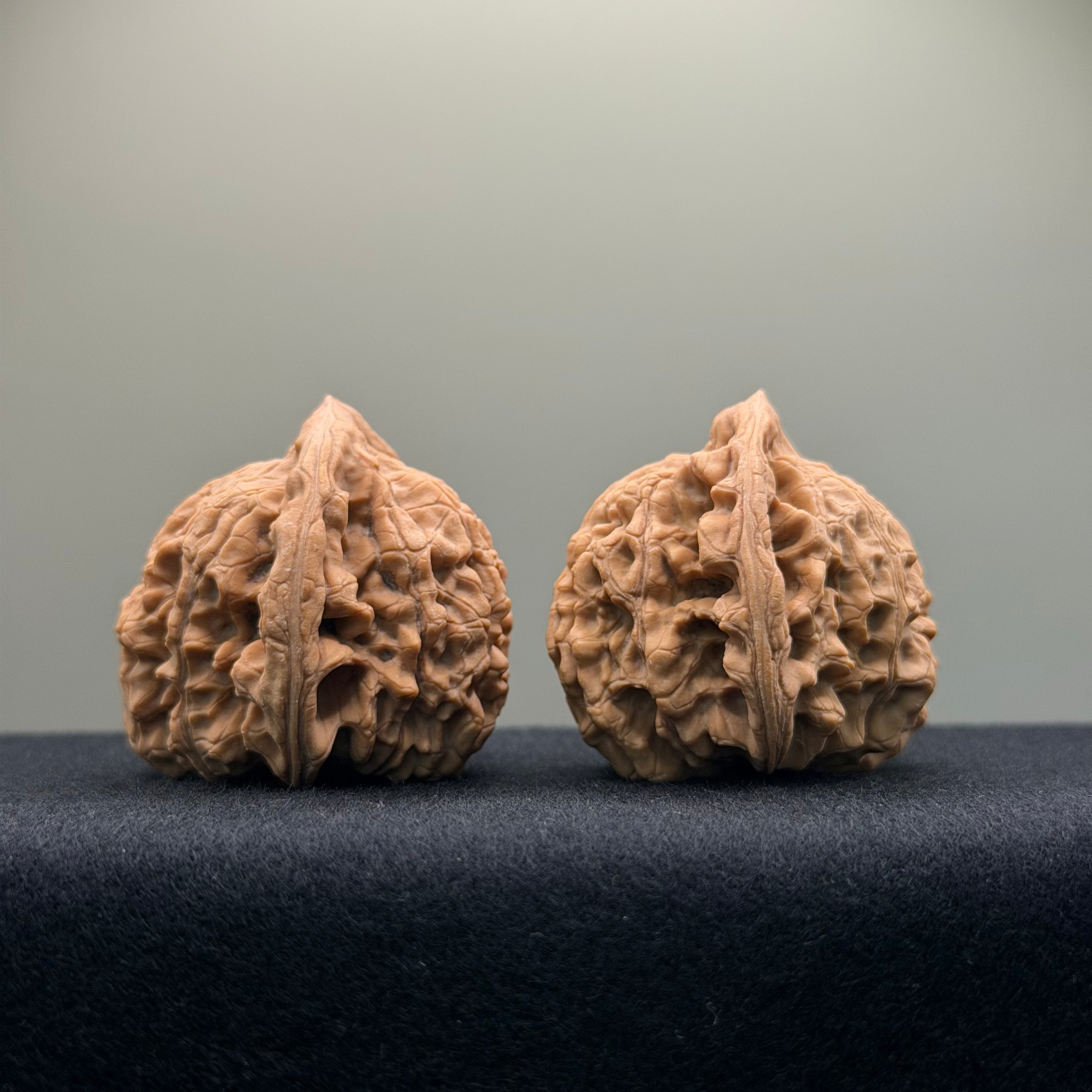 Official Hat Wenwan Walnut · 44mm · Natural · Entry Ritual