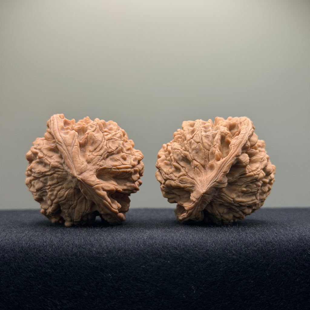 Official Hat Wenwan Walnut · 44mm · Natural · Entry Ritual