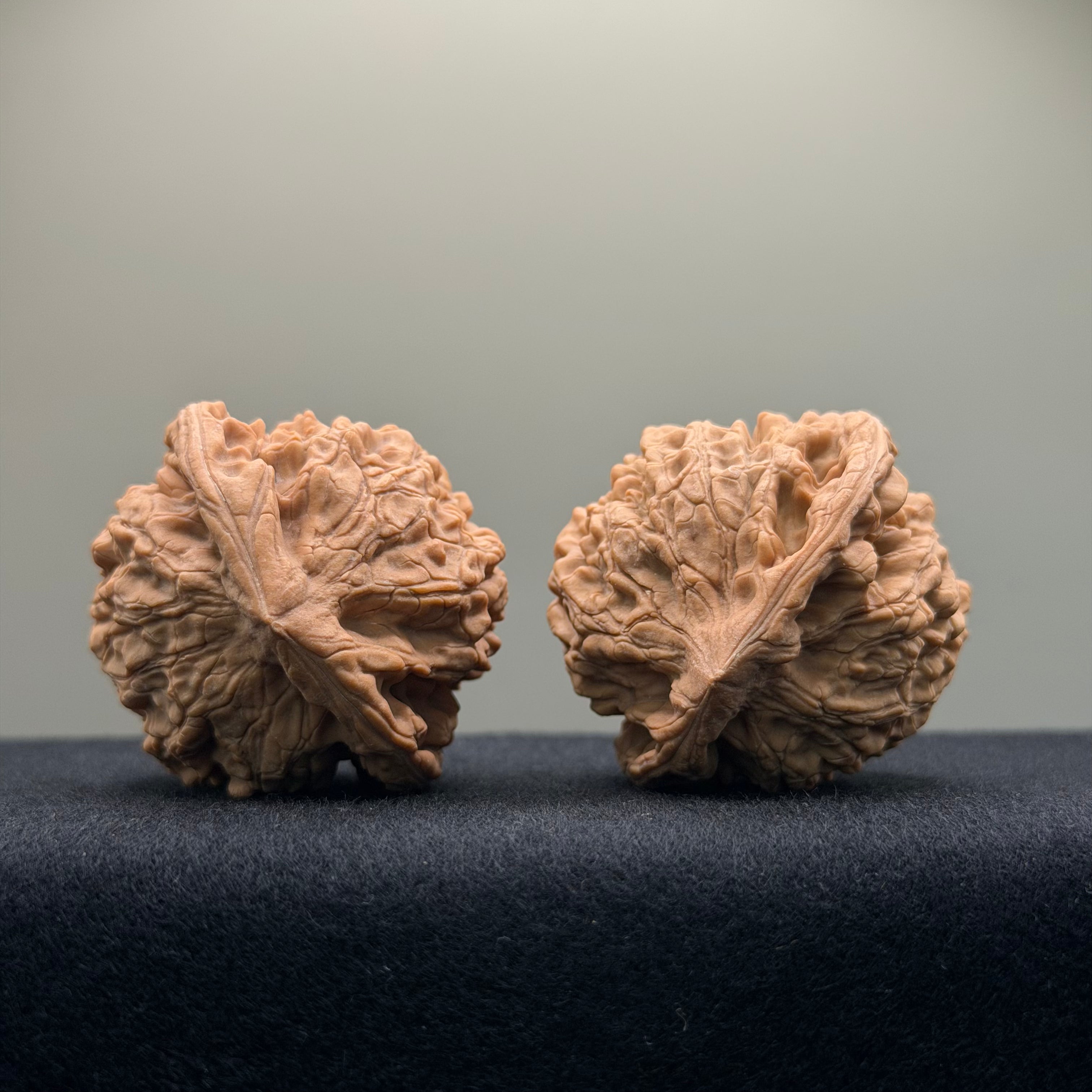 Official Hat Wenwan Walnut · 44mm · Natural · Entry Ritual