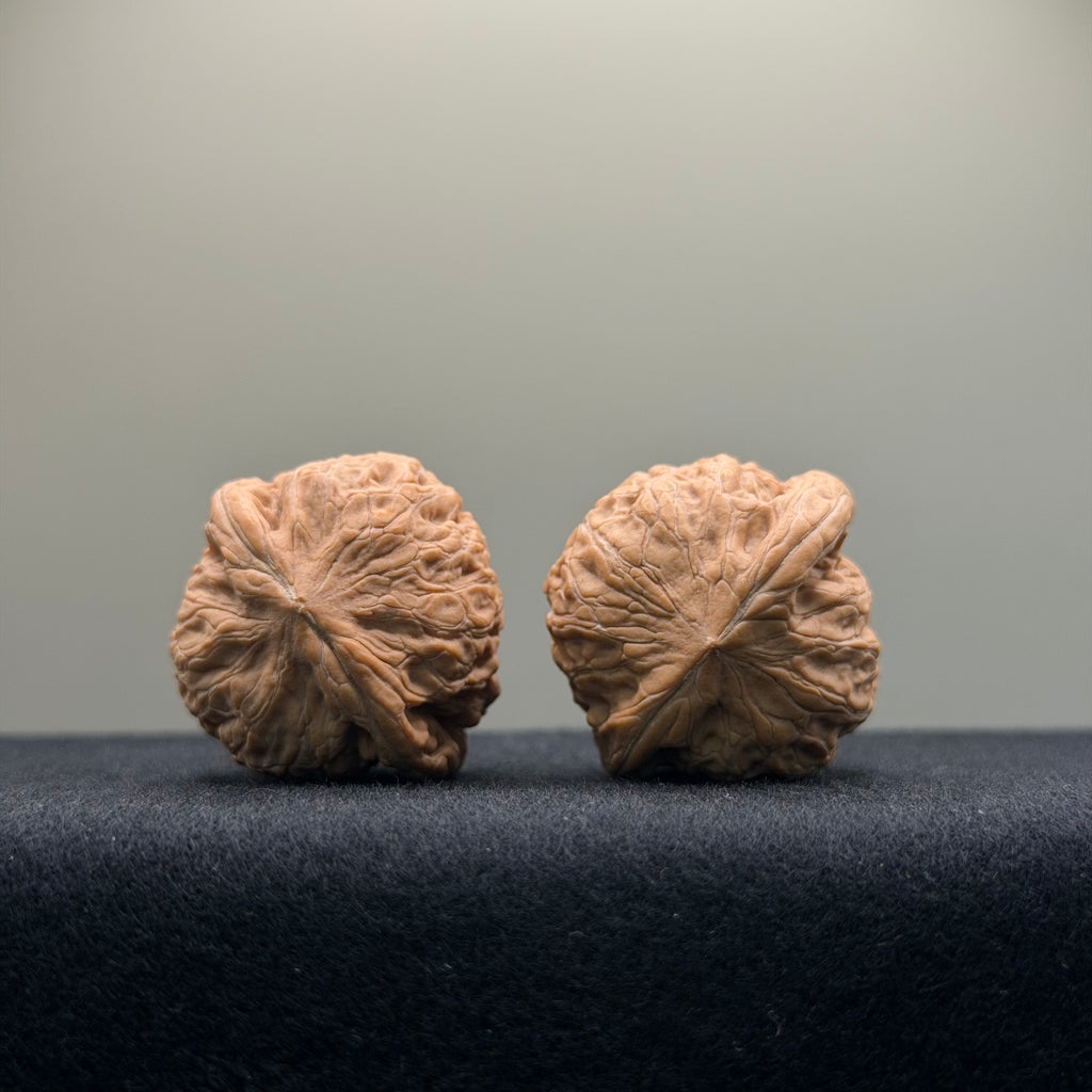 Iron Hammer Wenwan Walnut · 33mm · Natural · Entry Ritual