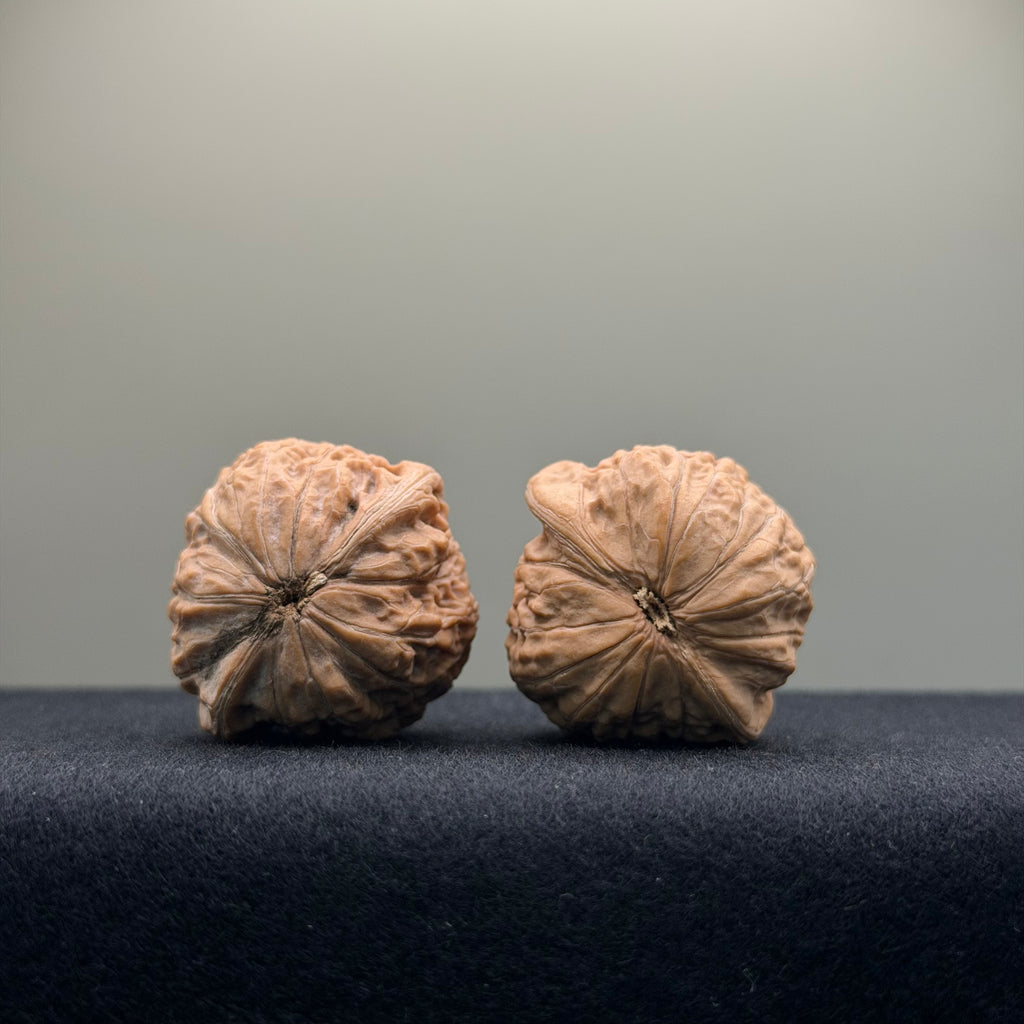 Iron Hammer Wenwan Walnut · 33mm · Natural · Entry Ritual