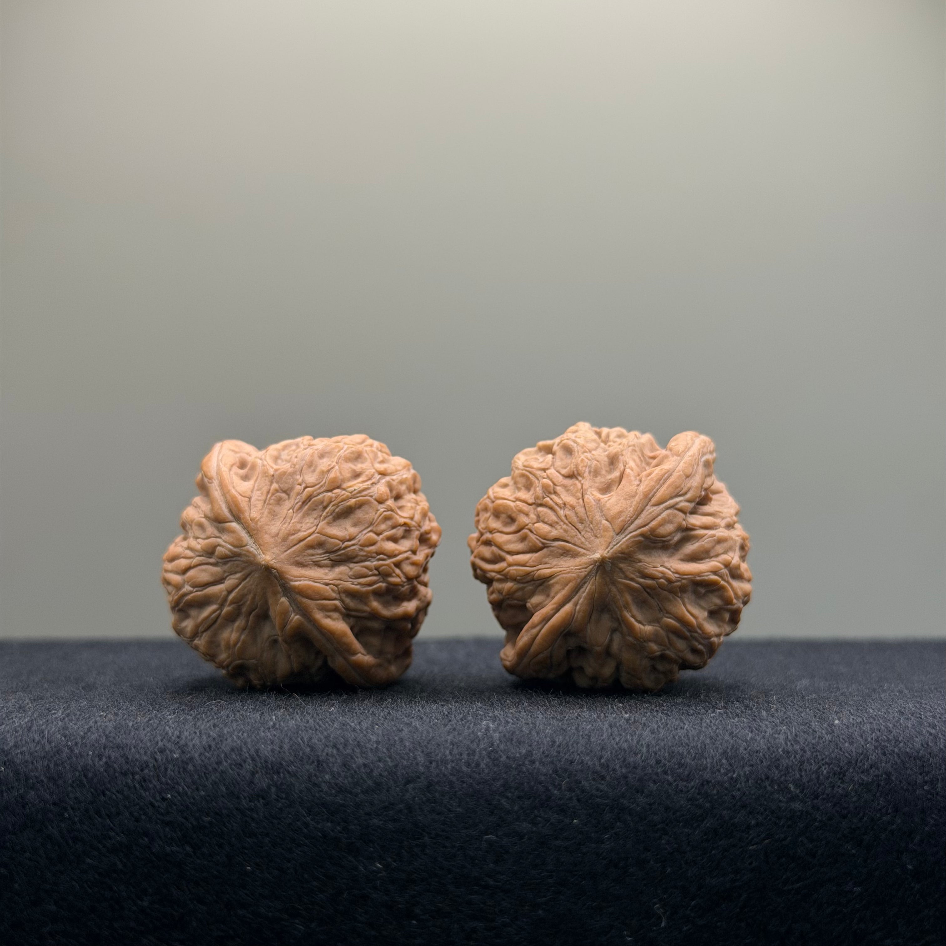 Iron Hammer Wenwan Walnut · 32mm · Natural · Entry Ritual