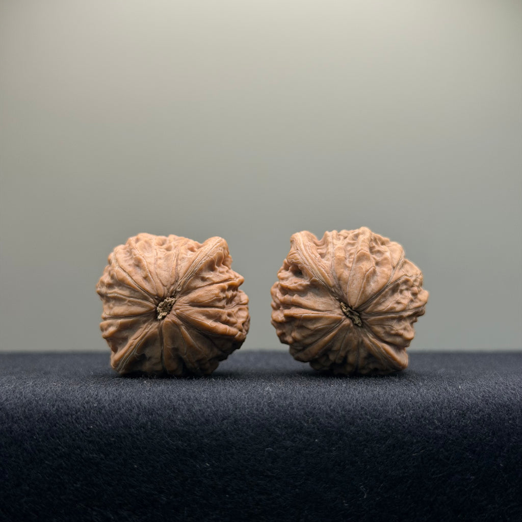 Iron Hammer Wenwan Walnut · 32mm · Natural · Entry Ritual