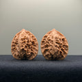 First Love Wenwan Walnut · 33mm · Natural · Entry Ritual