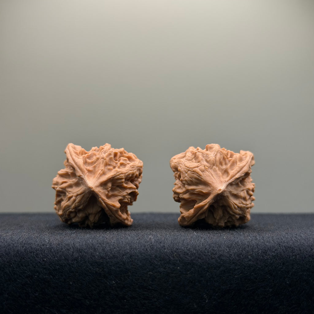 First Love Wenwan Walnut · 33mm · Natural · Entry Ritual