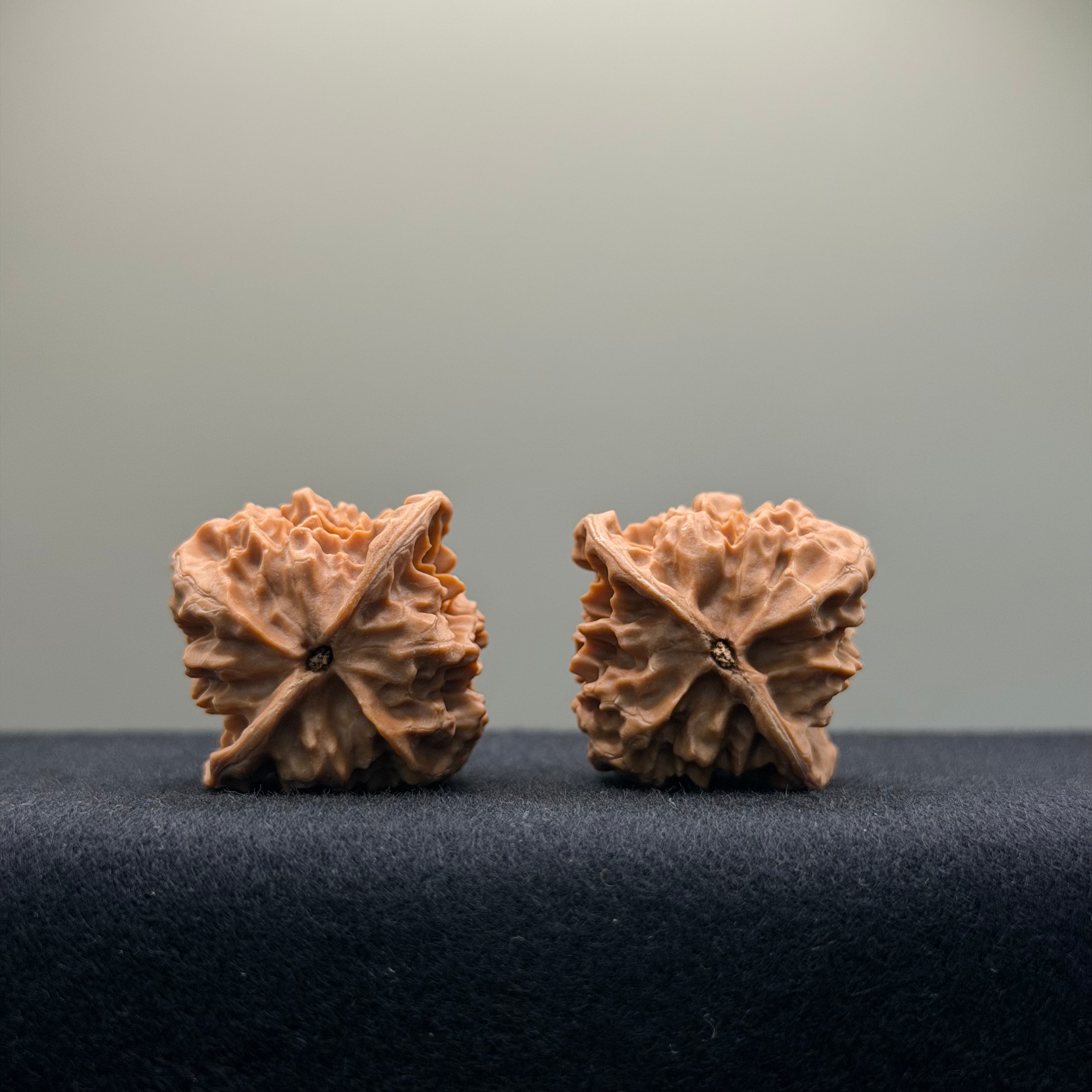 First Love Wenwan Walnut · 33mm · Natural · Entry Ritual