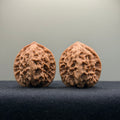 First Love Wenwan Walnut · 34mm · Natural · Entry Ritual