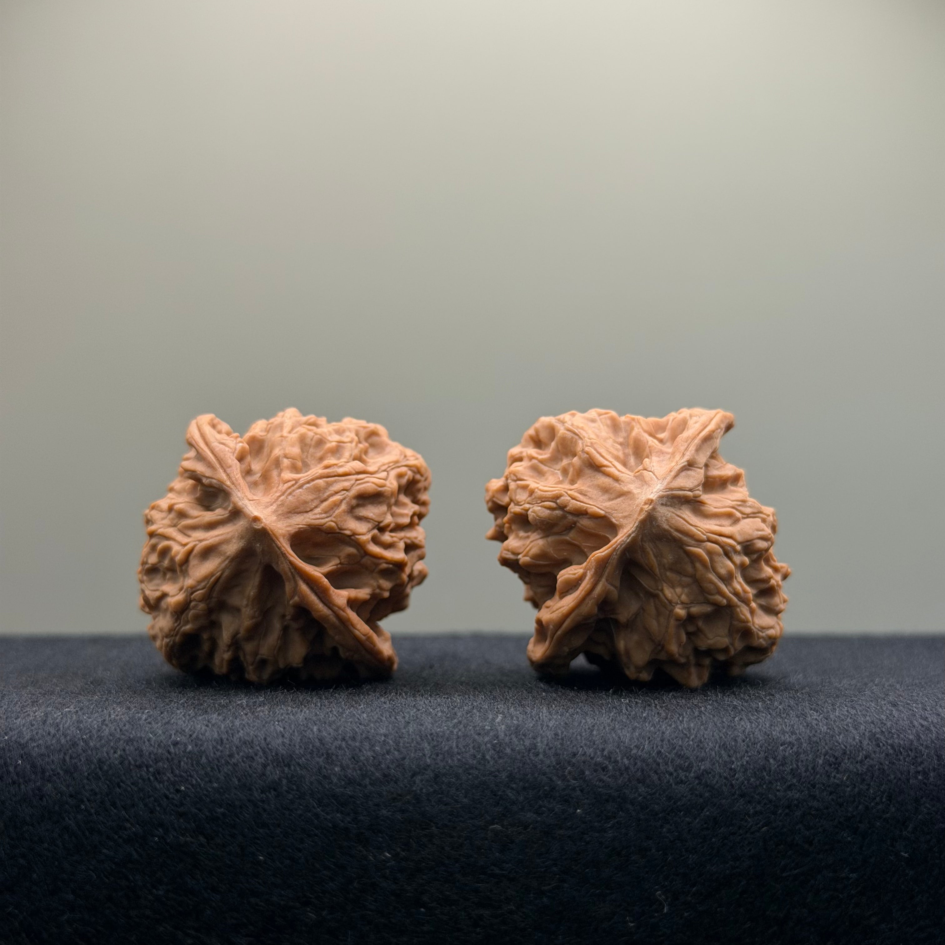First Love Wenwan Walnut · 34mm · Natural · Entry Ritual