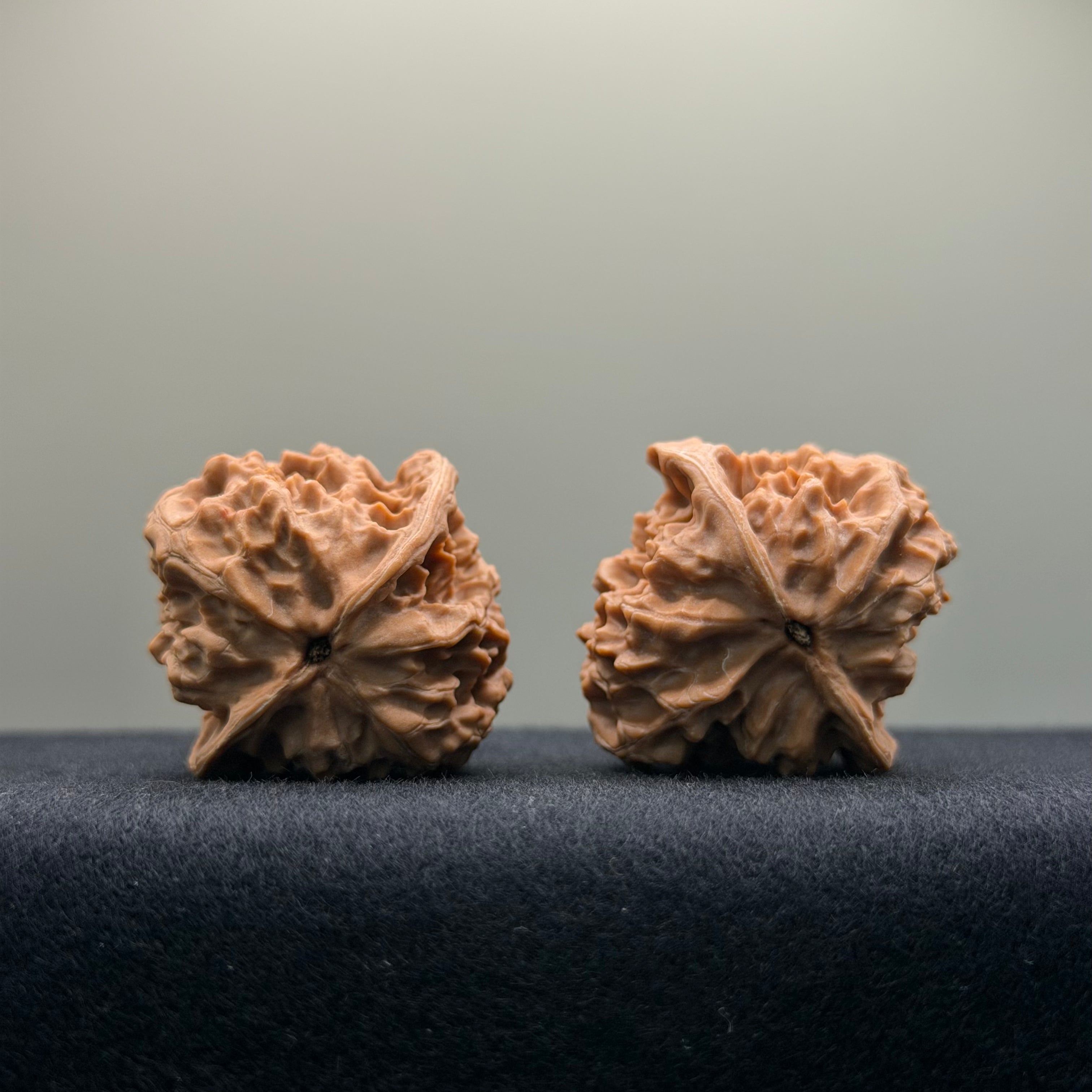 First Love Wenwan Walnut · 34mm · Natural · Entry Ritual