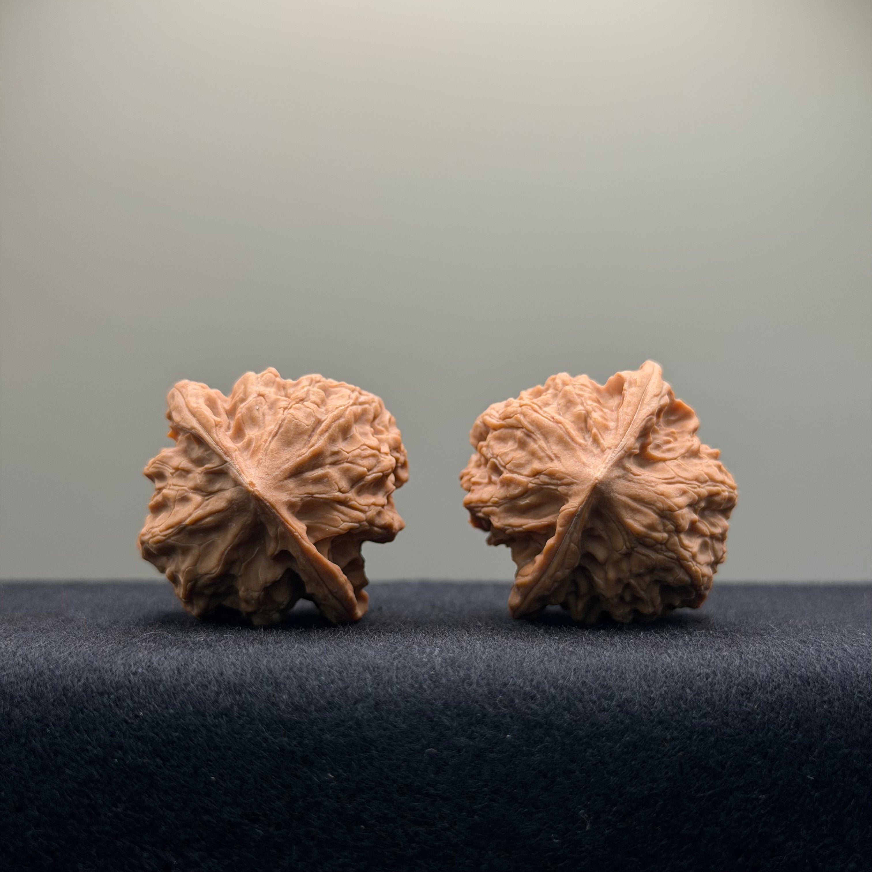 First Love Wenwan Walnut · 35mm · Natural · Entry Ritual