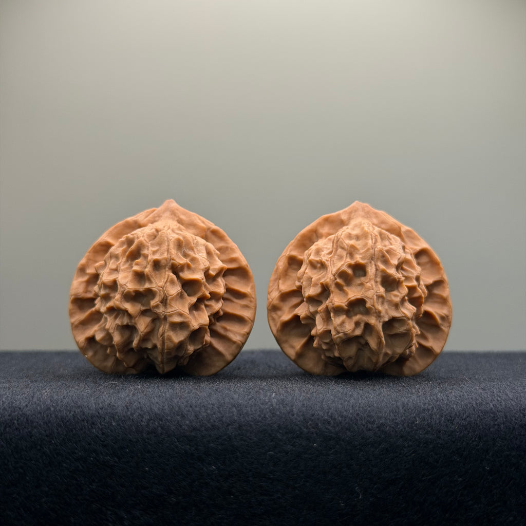 Wild · Mandala Wenwan Walnut  · 38mm · Natural · Collector Ritual
