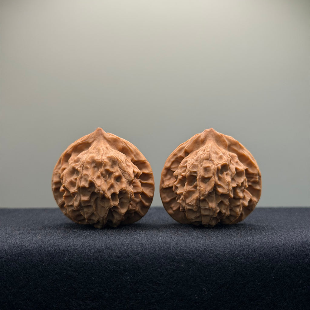 Wild · Mandala Wenwan Walnut  · 38mm · Natural · Collector Ritual