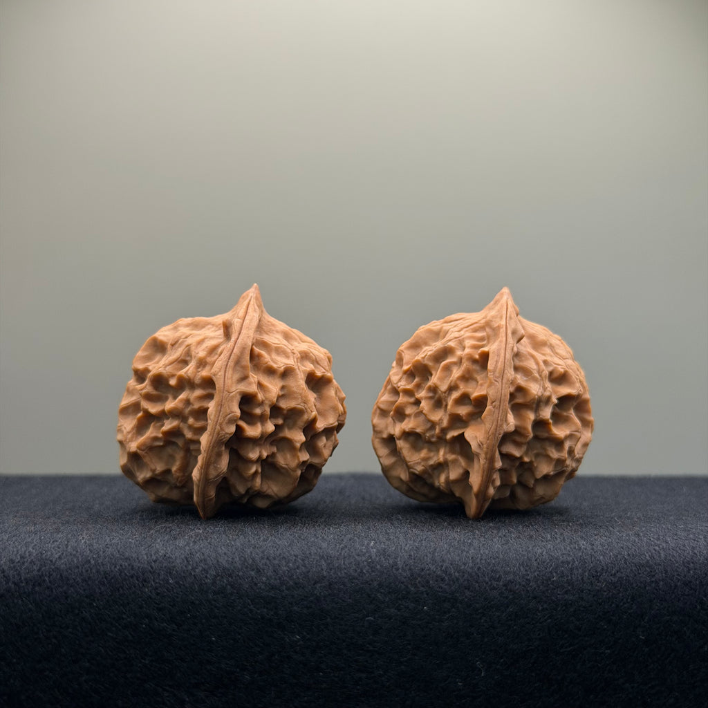 Wild · Mandala Wenwan Walnut  · 38mm · Natural · Collector Ritual