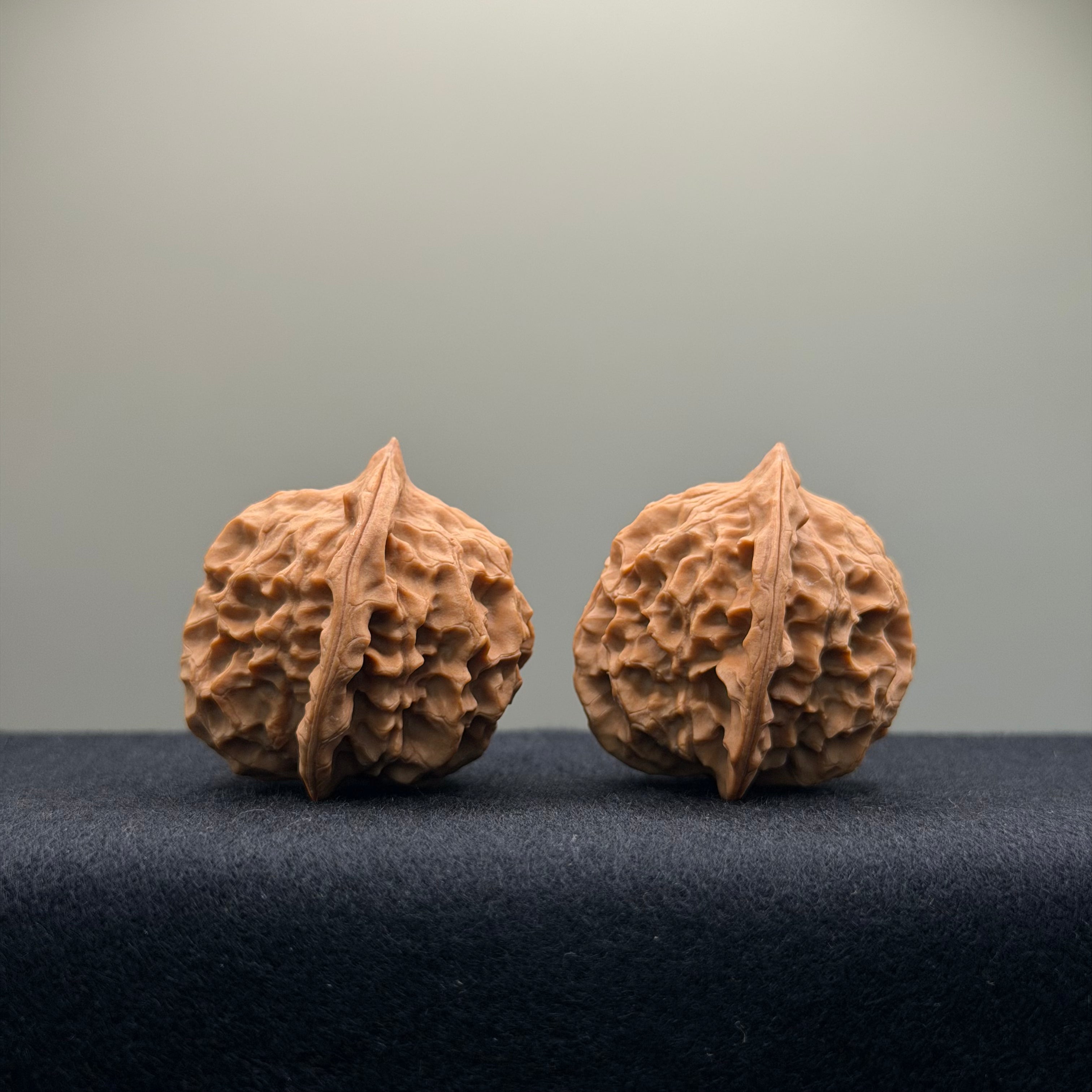 Wild · Mandala Wenwan Walnut  · 38mm · Natural · Collector Ritual