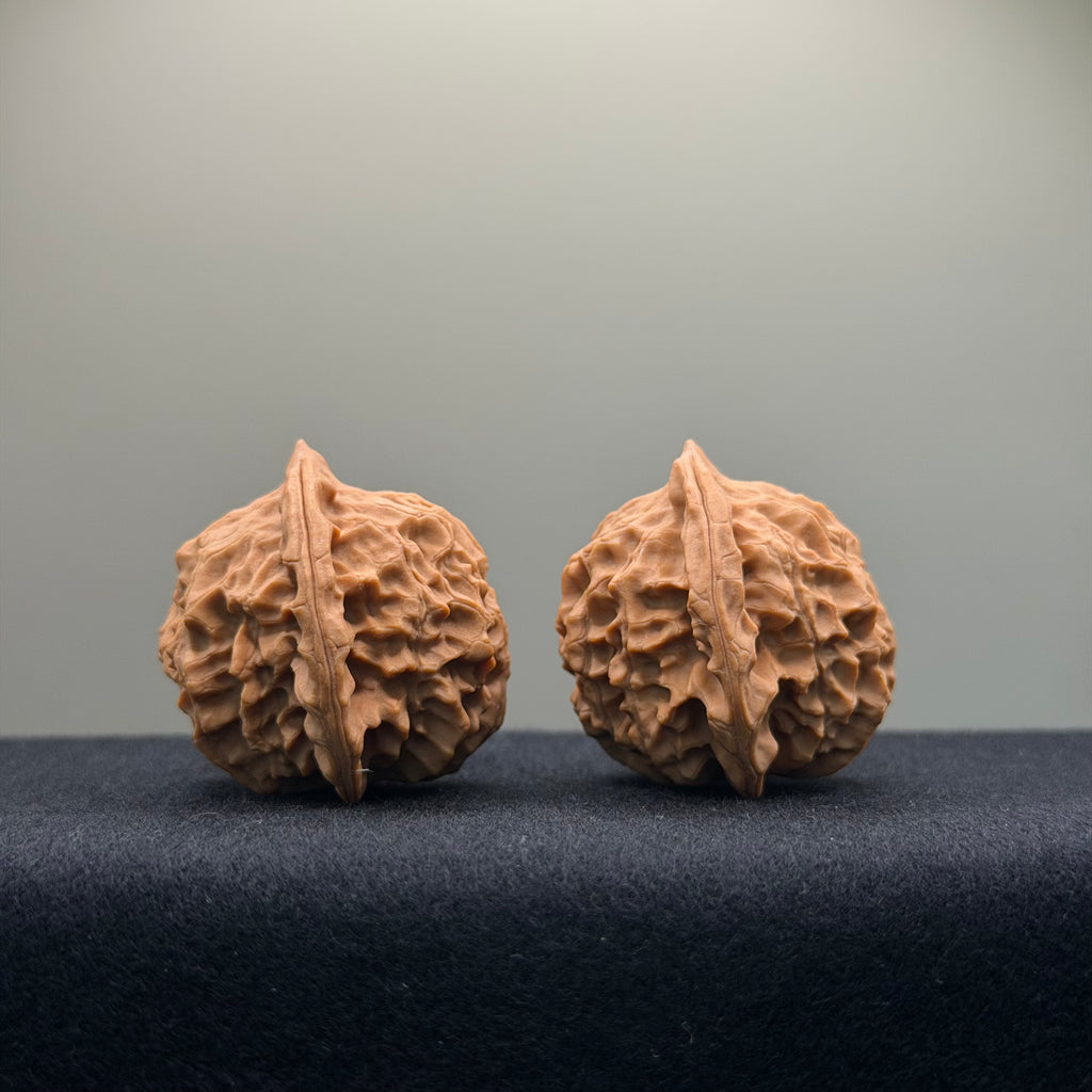 Wild · Mandala Wenwan Walnut  · 38mm · Natural · Collector Ritual