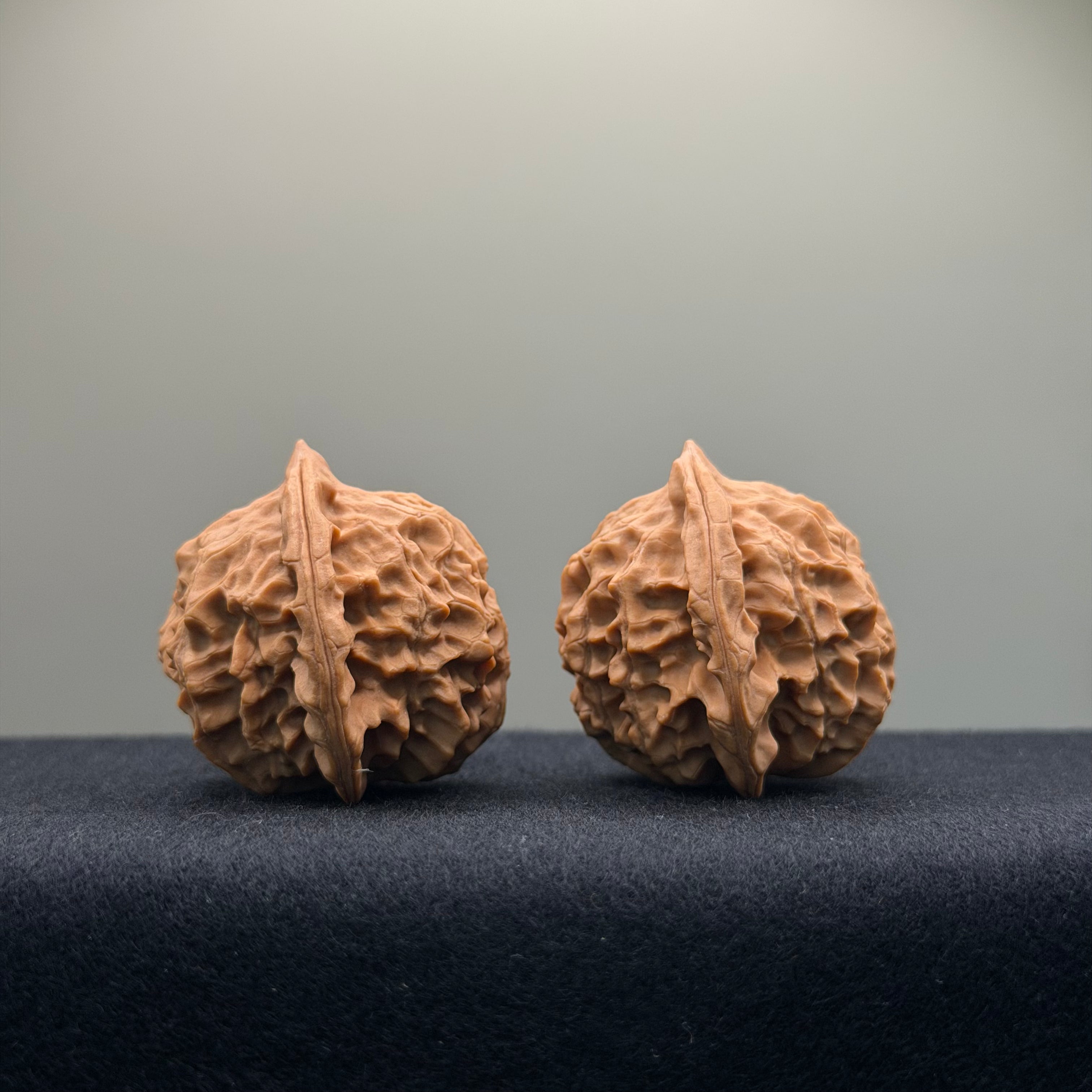 Wild · Mandala Wenwan Walnut  · 38mm · Natural · Collector Ritual