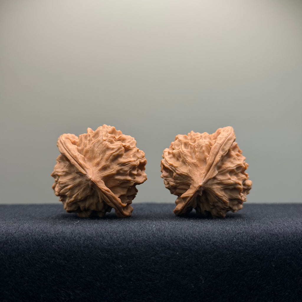 Wild · Mandala Wenwan Walnut  · 38mm · Natural · Collector Ritual