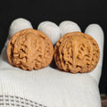 Red Koi Wenwan Walnut · 40mm · Natural · Sourcing Pick