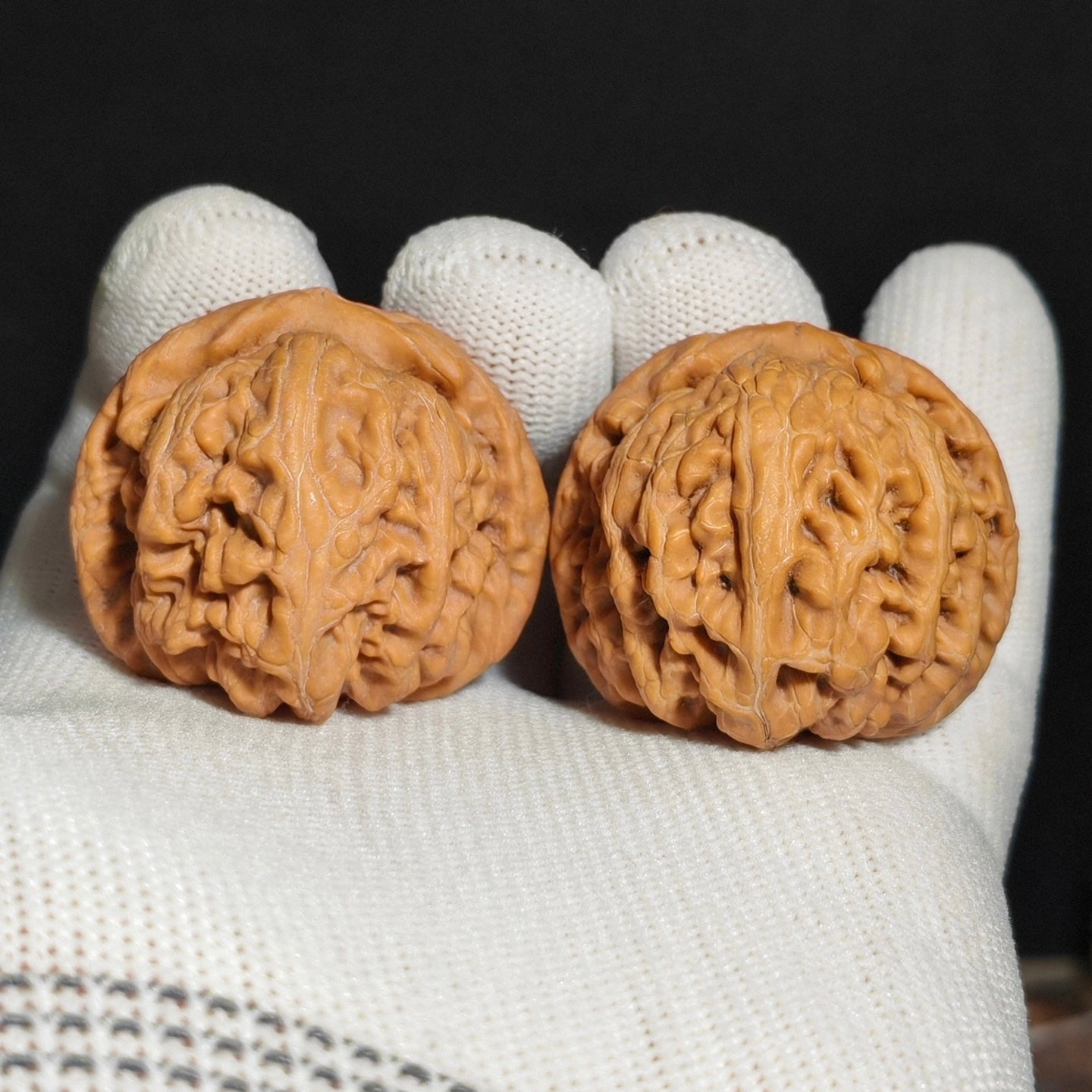 Red Koi Wenwan Walnut · 40mm · Natural · Sourcing Pick