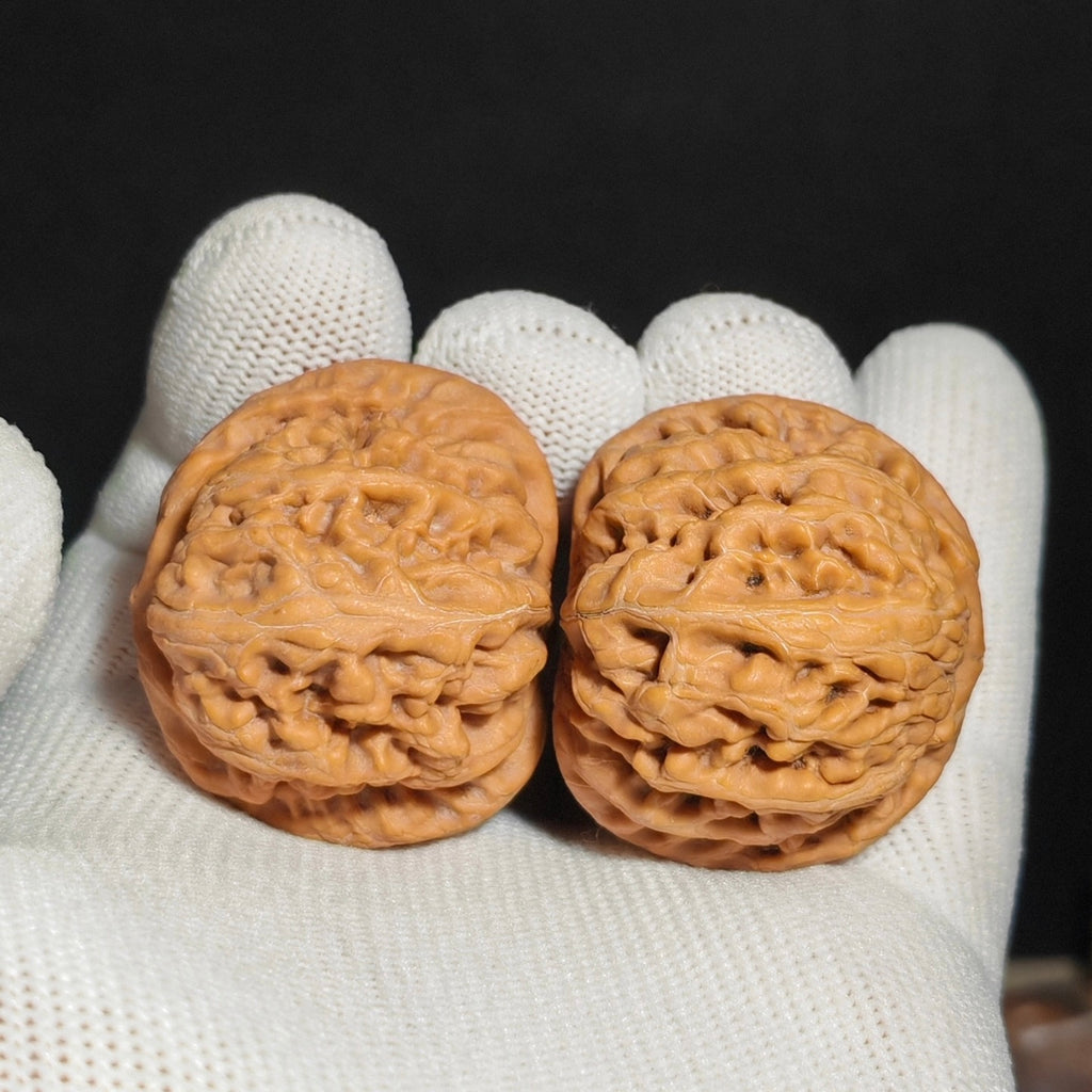 Red Koi Wenwan Walnut · 40mm · Natural · Sourcing Pick