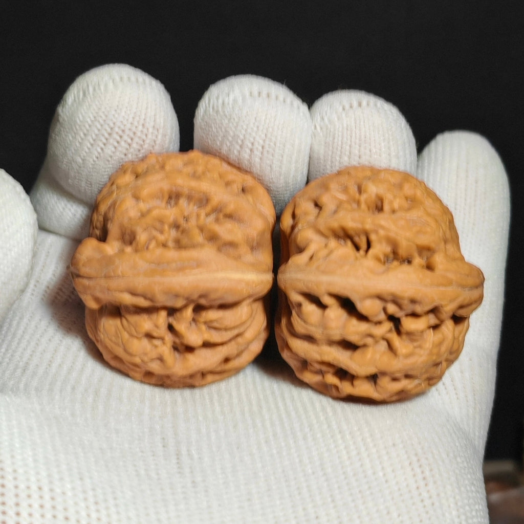Red Koi Wenwan Walnut · 40mm · Natural · Sourcing Pick