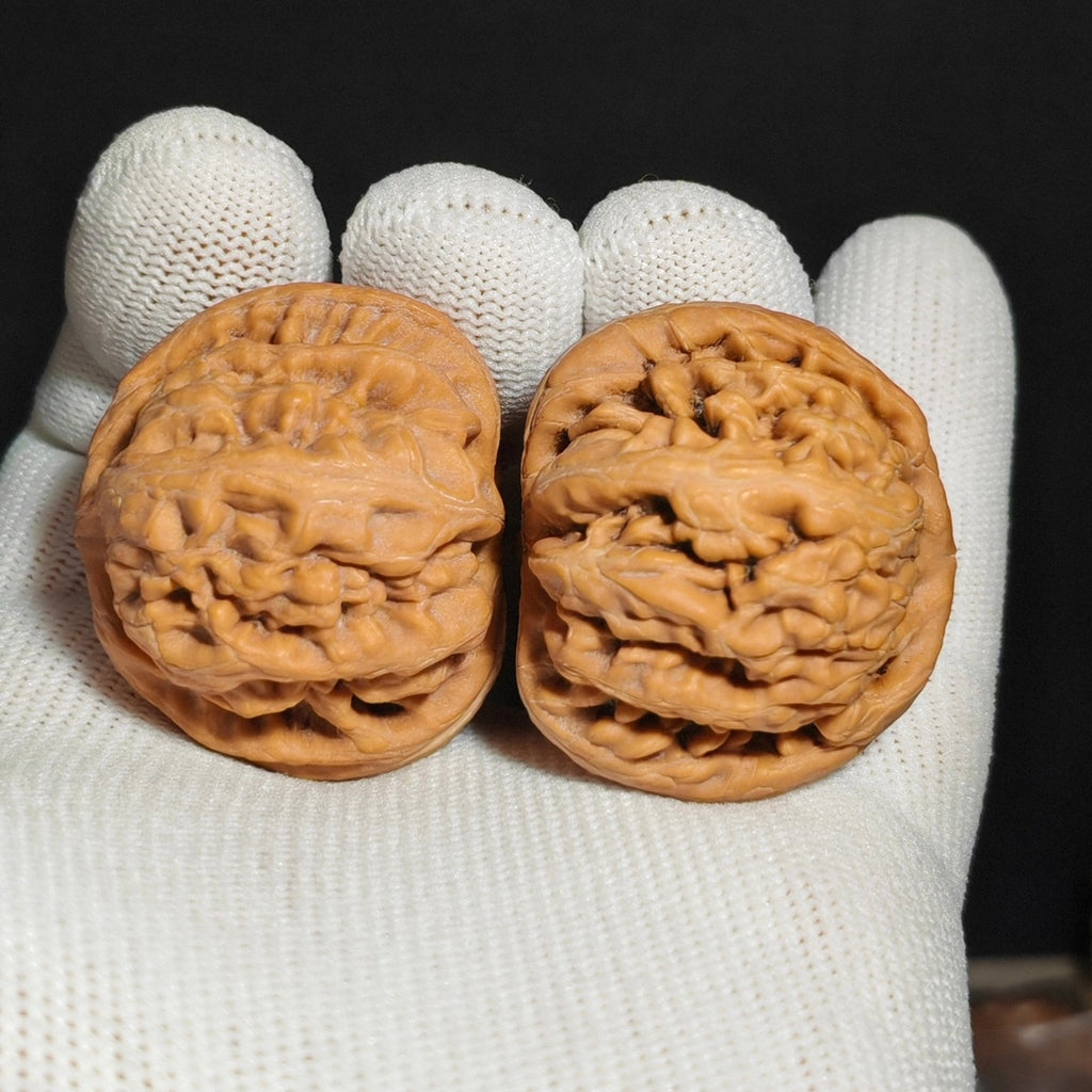 Red Koi Wenwan Walnut · 40mm · Natural · Sourcing Pick