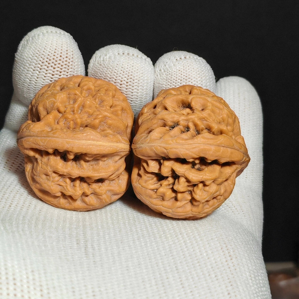 Red Koi Wenwan Walnut · 40mm · Natural · Sourcing Pick