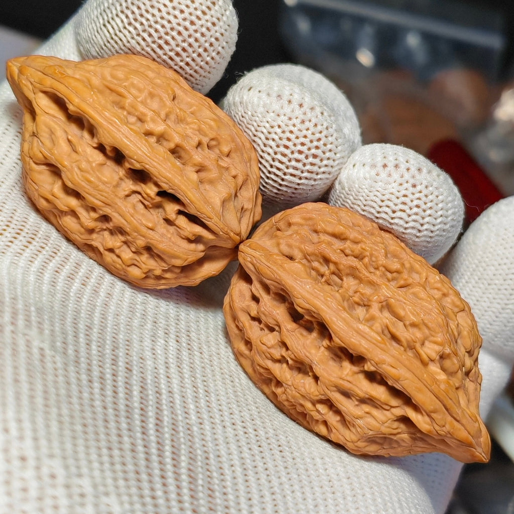 Ribbonfish Wenwan Walnut · 44mm· Natural · Sourcing Pick