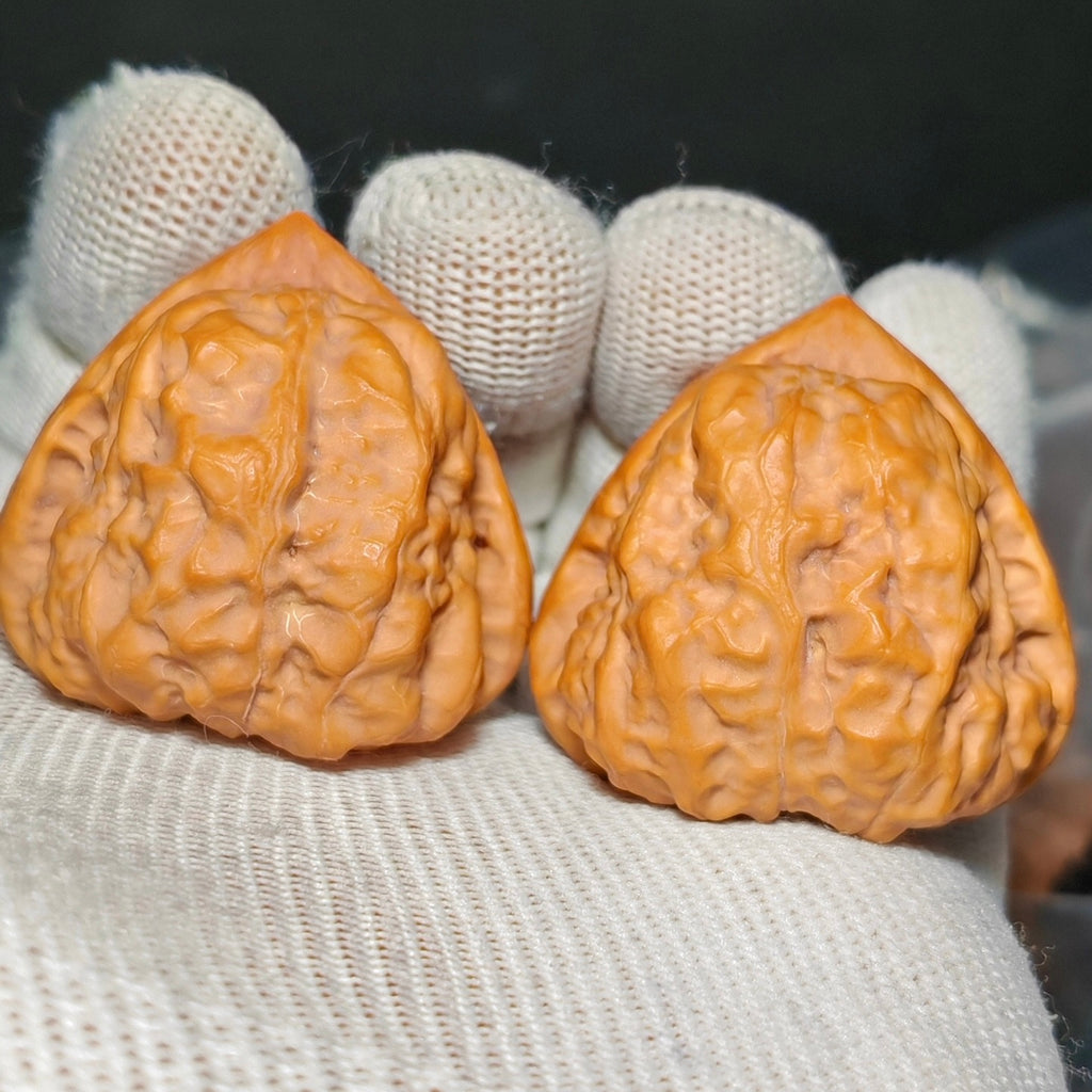 Toad Head Wenwan Walnut · 40mm · Sourcing Pick