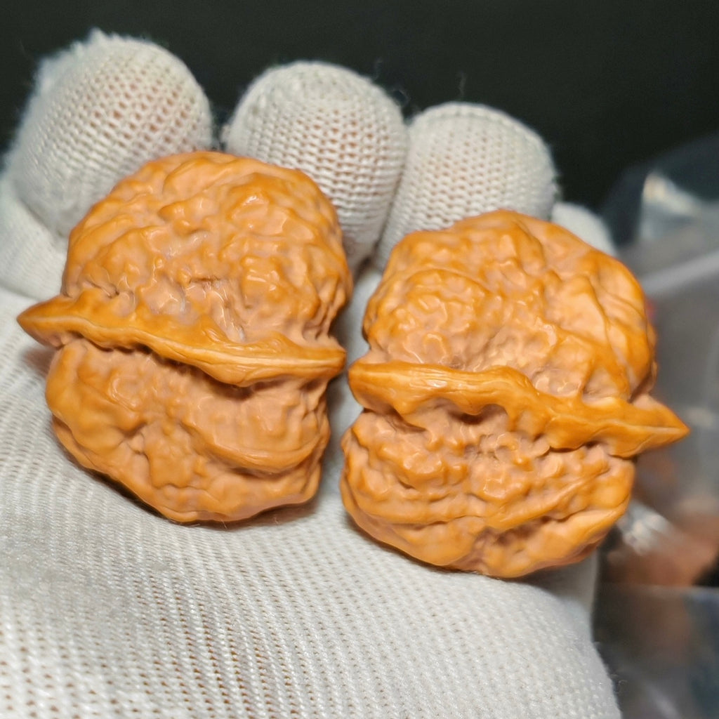 Toad Head Wenwan Walnut · 40mm · Sourcing Pick