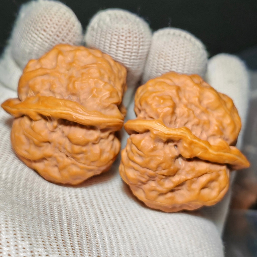Toad Head Wenwan Walnut · 40mm · Sourcing Pick
