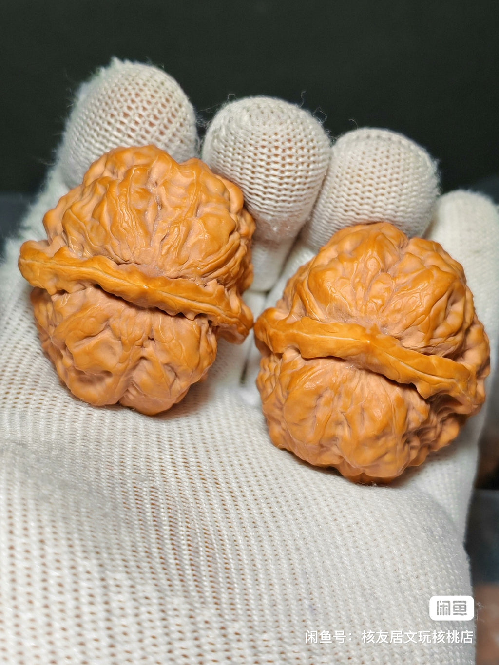 Toad Head Wenwan Walnut · 40mm · Sourcing Pick