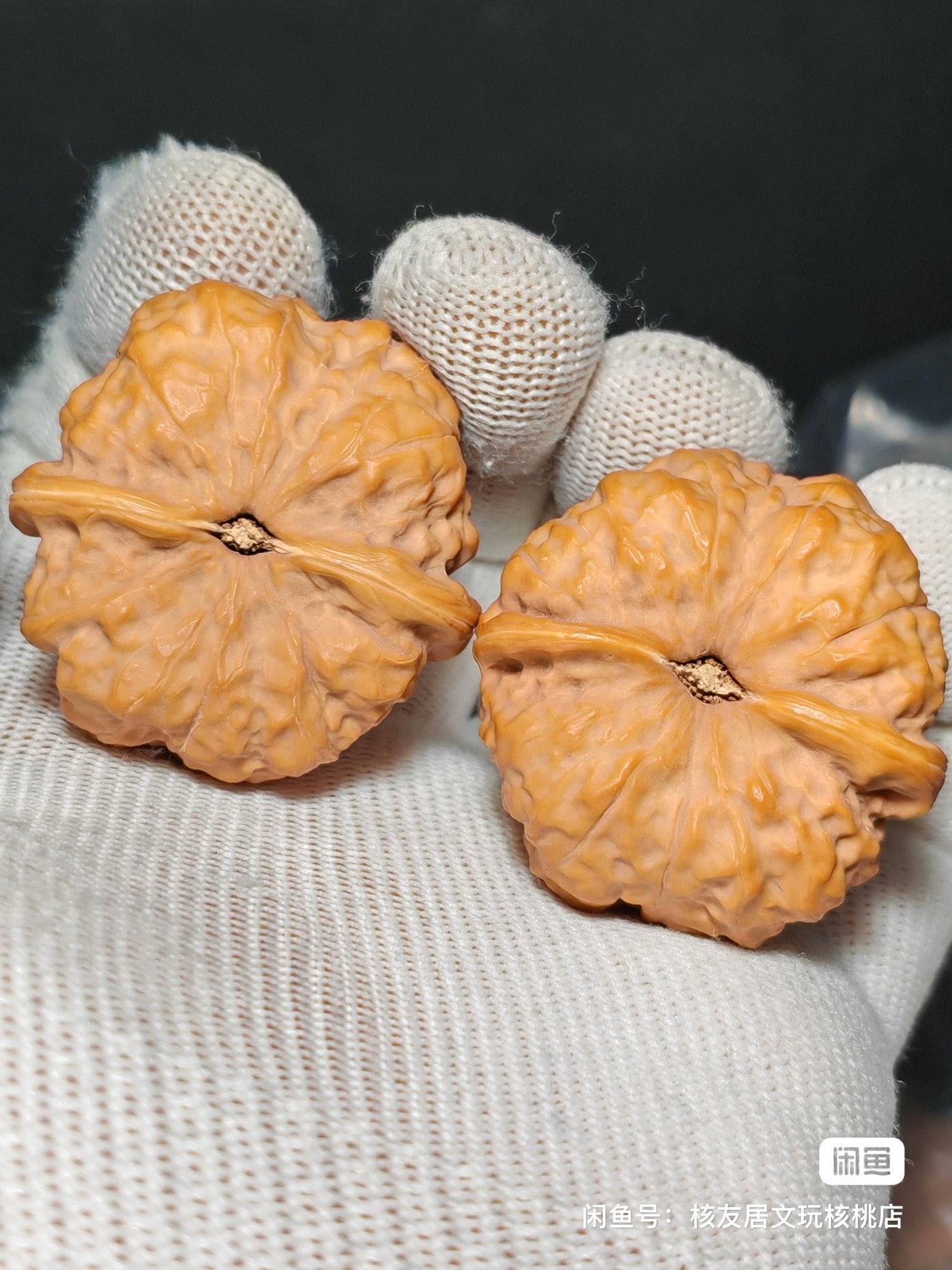 Toad Head Wenwan Walnut · 40mm · Sourcing Pick