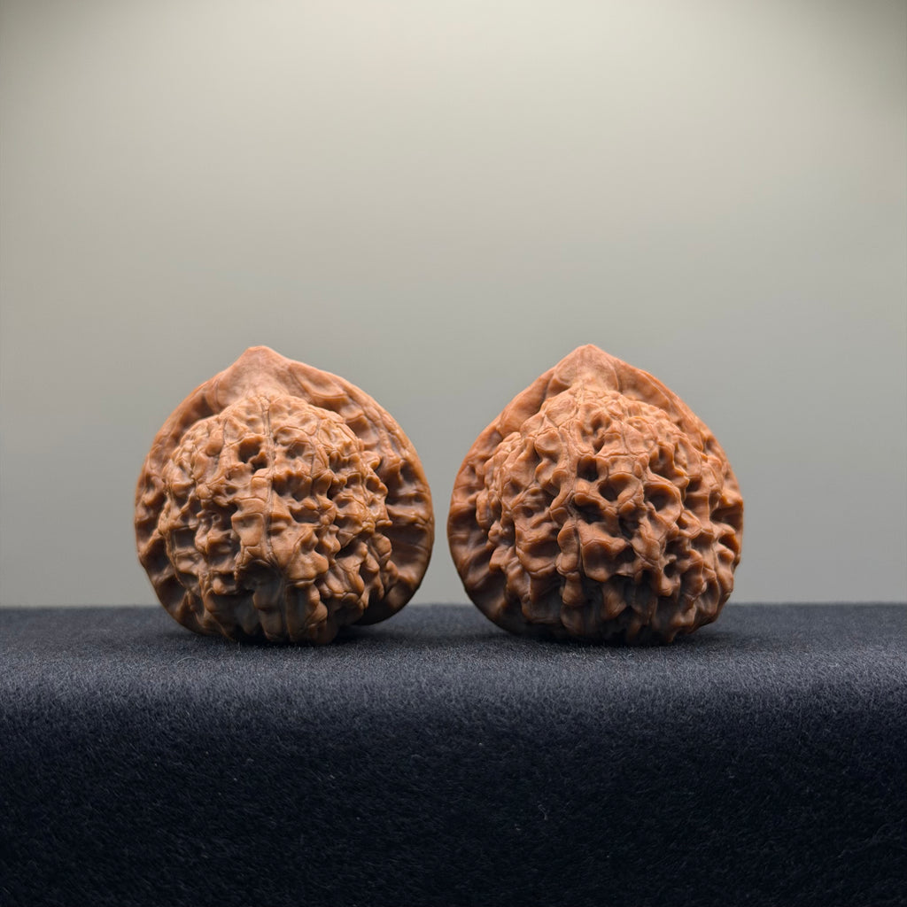 Official Hat Wenwan Walnut · 41mm · Natural · Entry Ritual