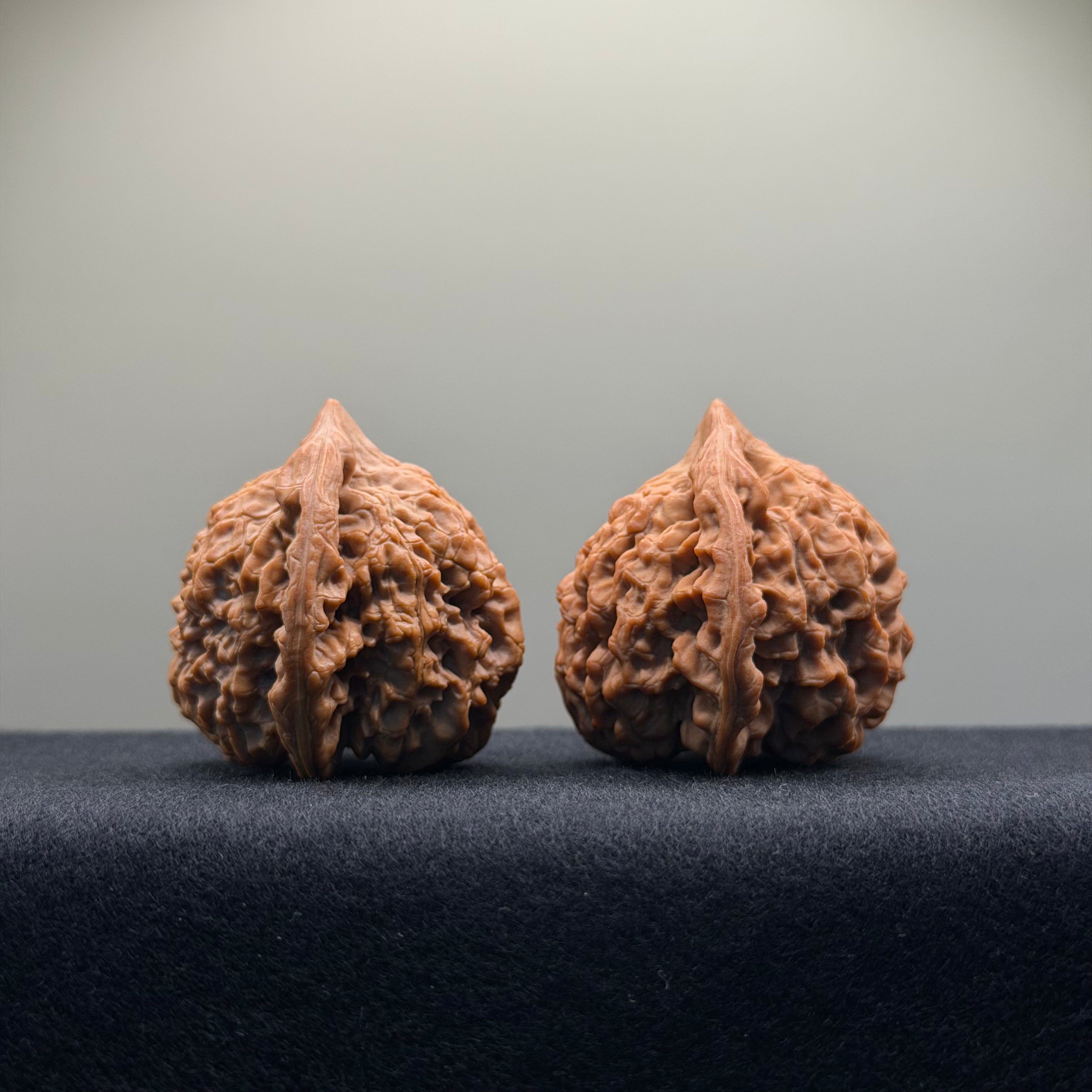 Official Hat Wenwan Walnut · 41mm · Natural · Entry Ritual