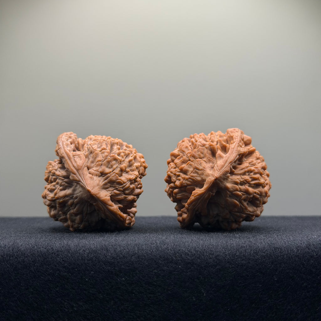 Official Hat Wenwan Walnut · 41mm · Natural · Entry Ritual