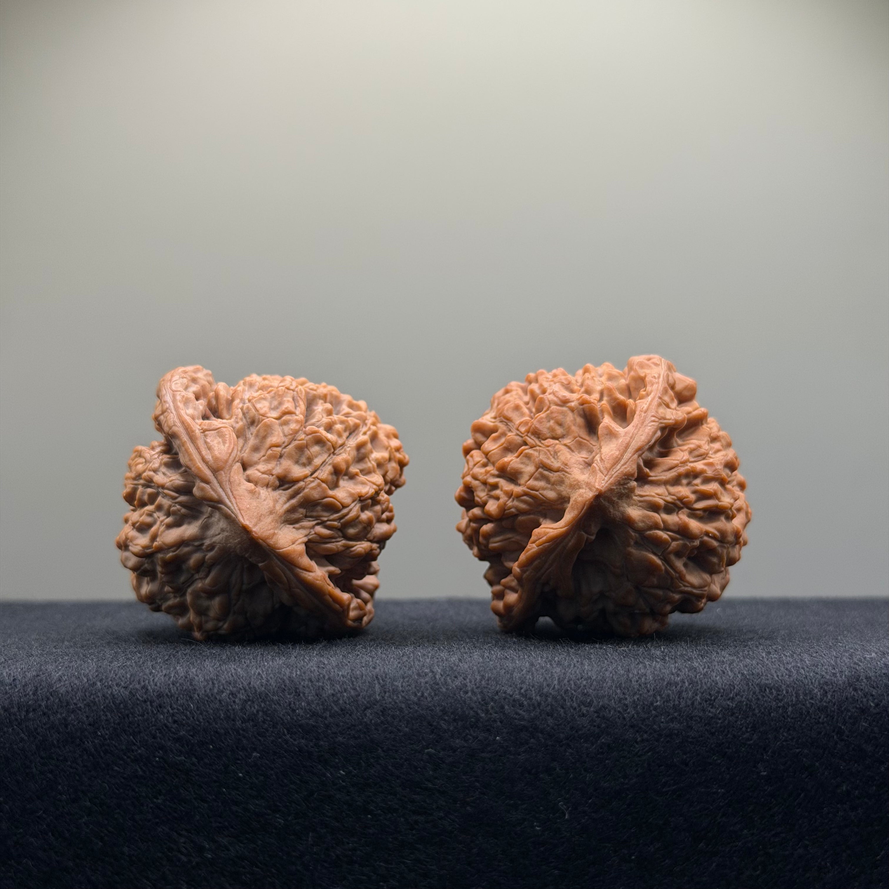 Official Hat Wenwan Walnut · 41mm · Natural · Entry Ritual
