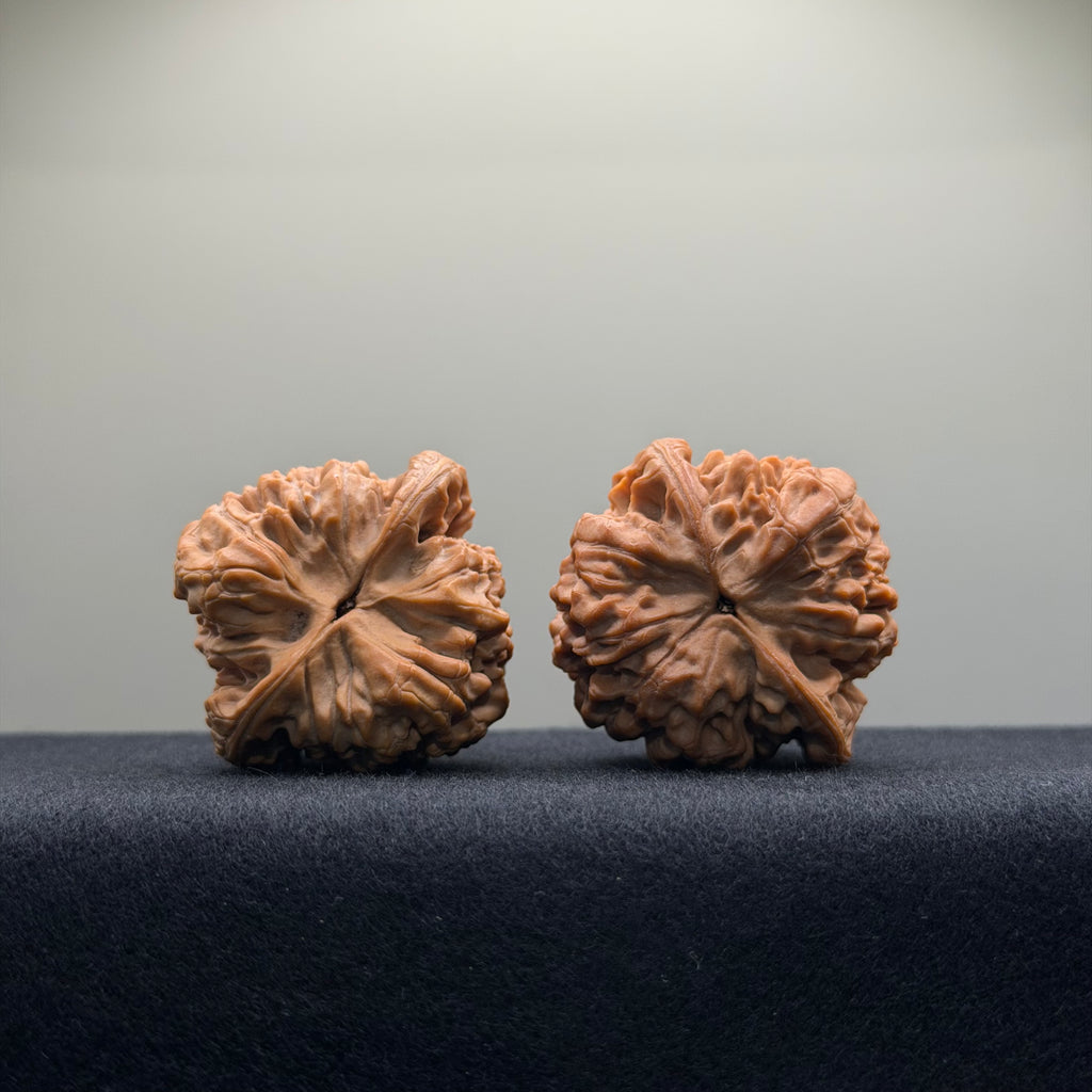 Official Hat Wenwan Walnut · 41mm · Natural · Entry Ritual