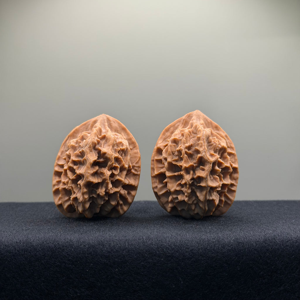Emperor Wenwan Walnut · 39mm · Natural · Select Ritual