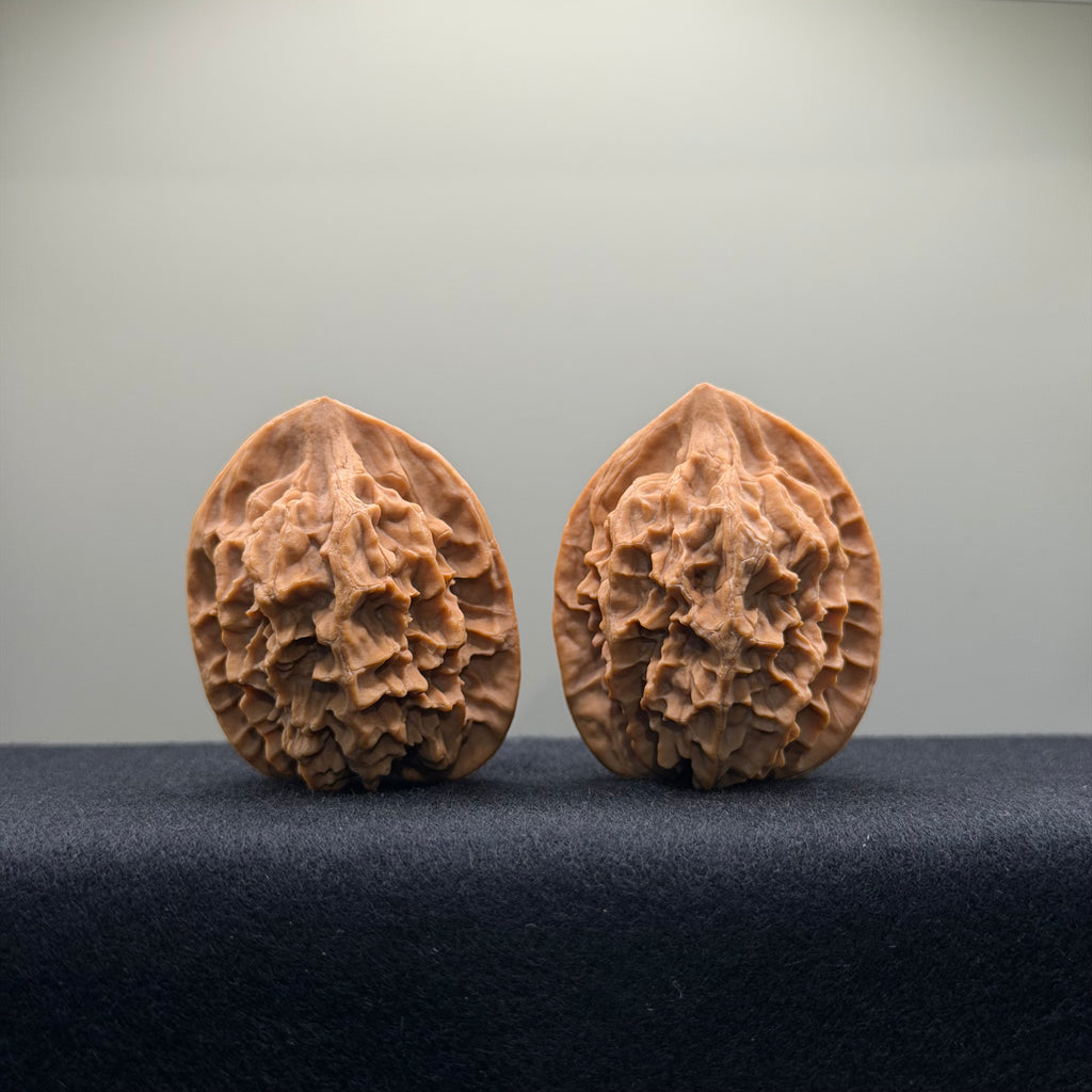 Emperor Wenwan Walnut · 39mm · Natural · Select Ritual